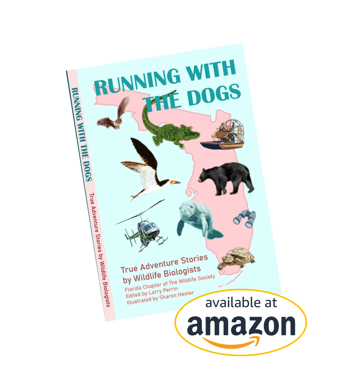 Our "Adventure Stories" book is now available!