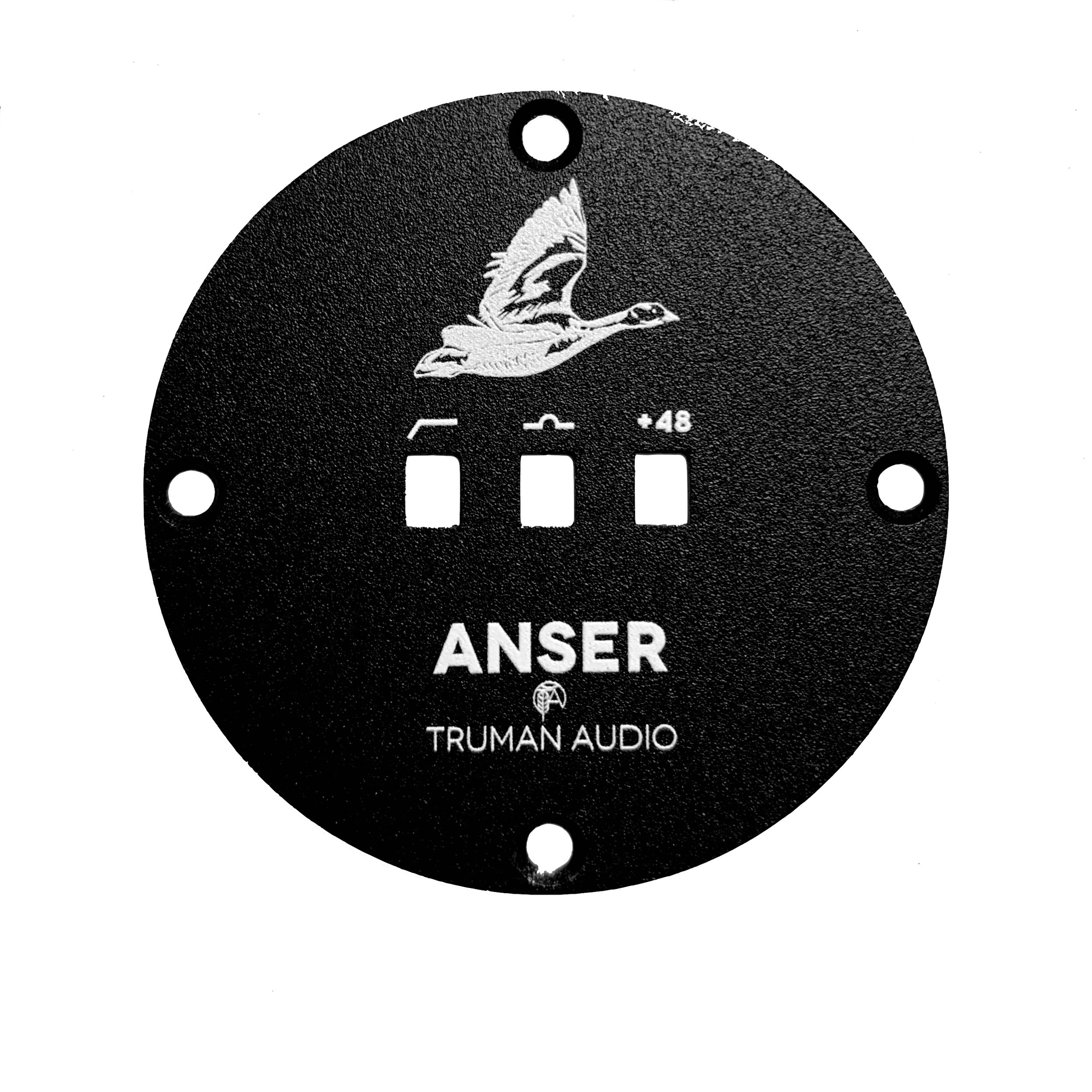 ANSER STOCK - BLACK BACKPLATE.jpg