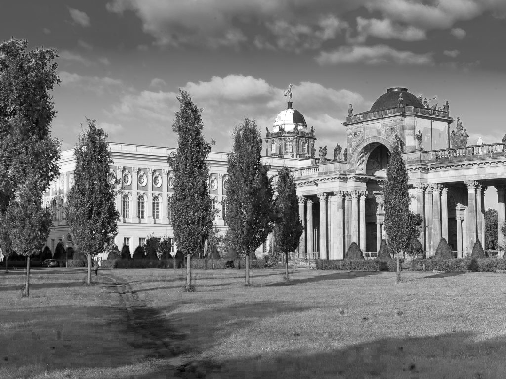 Conor McCafferty presents at NECS Conference, Potsdam
