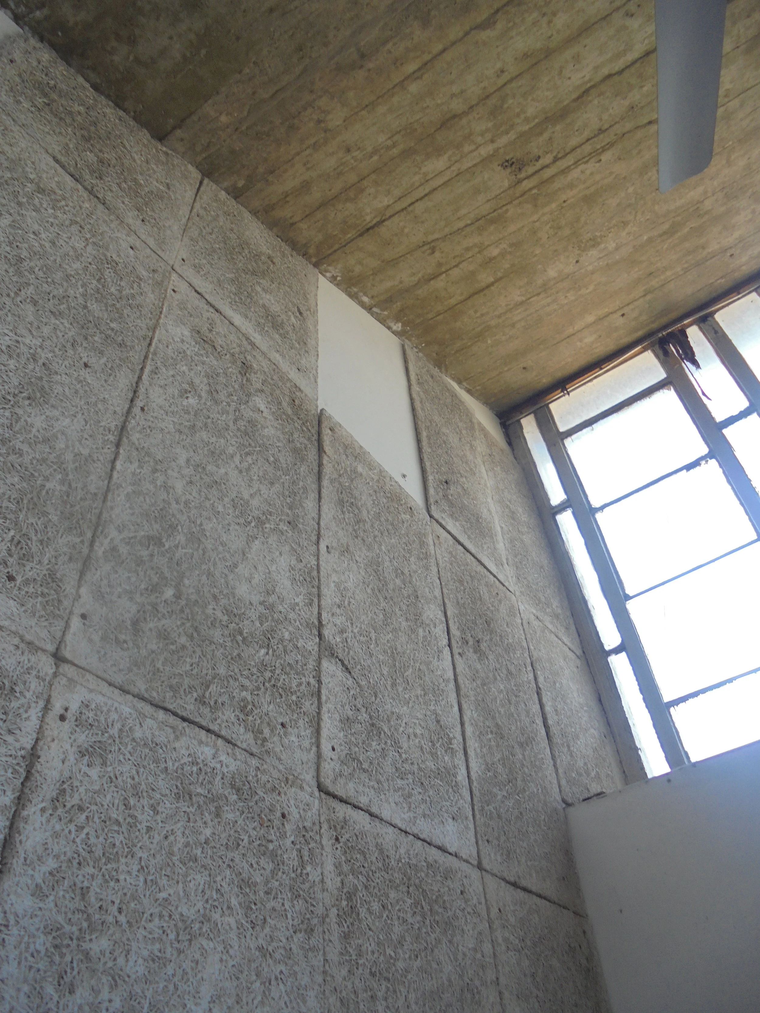 DSC03109.jpeg