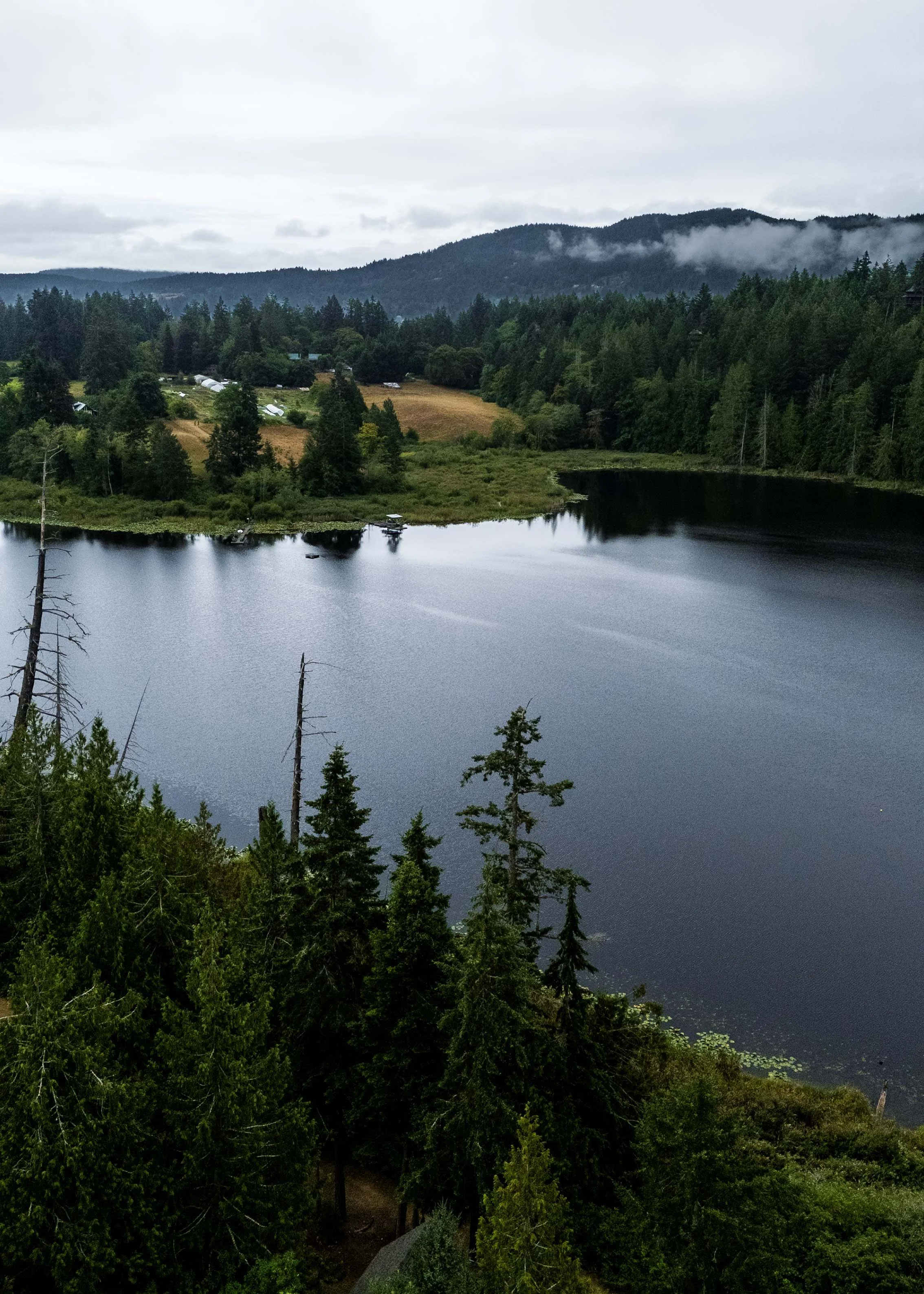 drone_0435.jpg