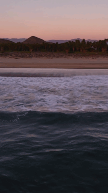 playa2.gif