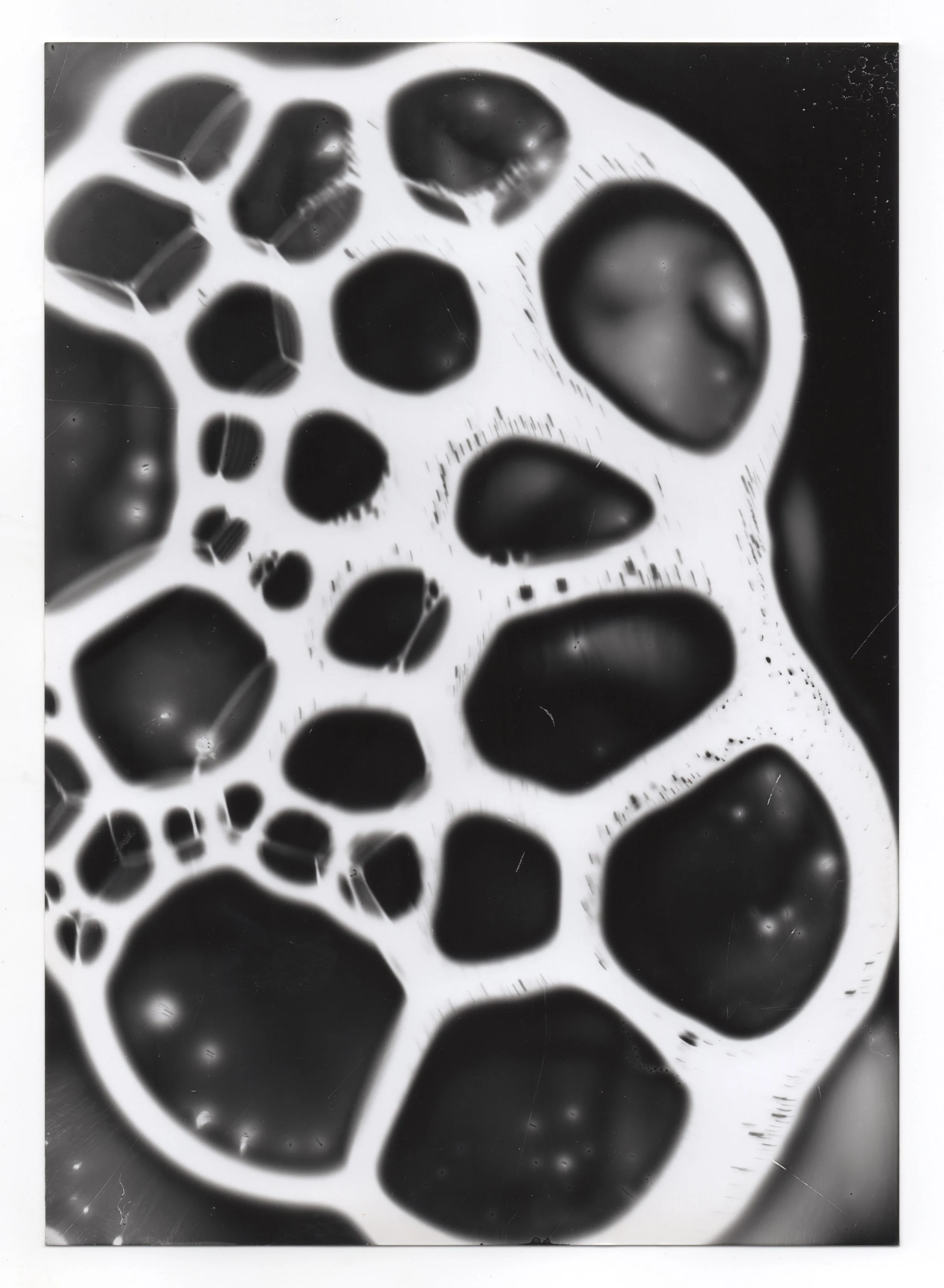 Scan 6.jpeg