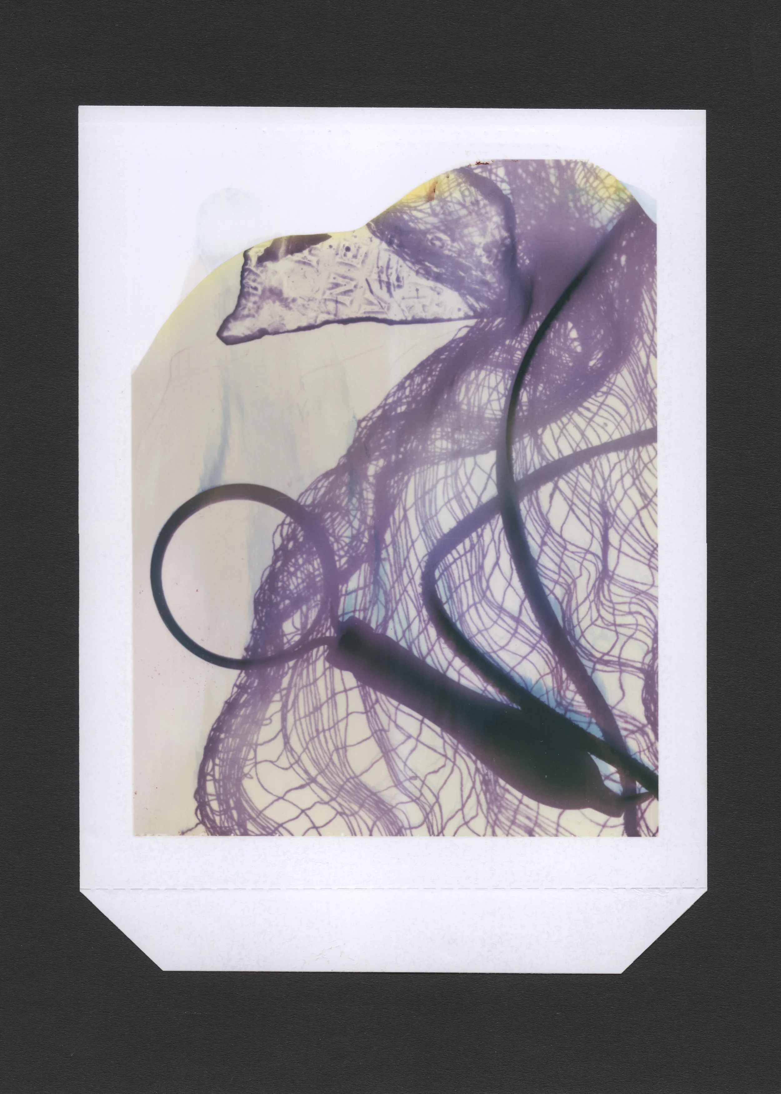 Polaroid 10.jpg