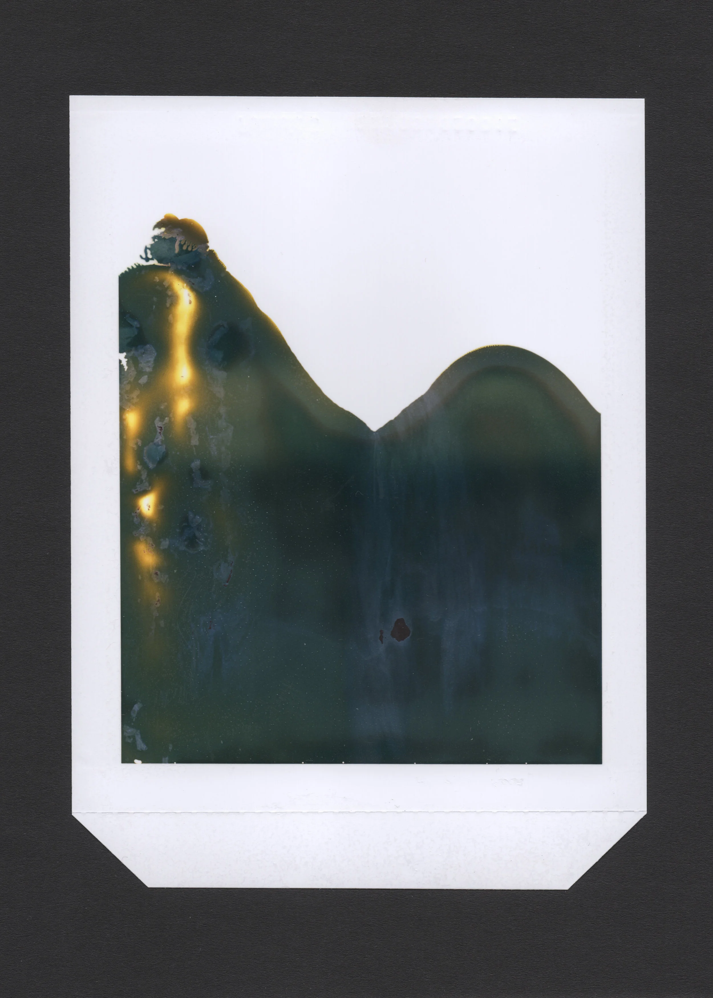 Polaroid 11.jpg