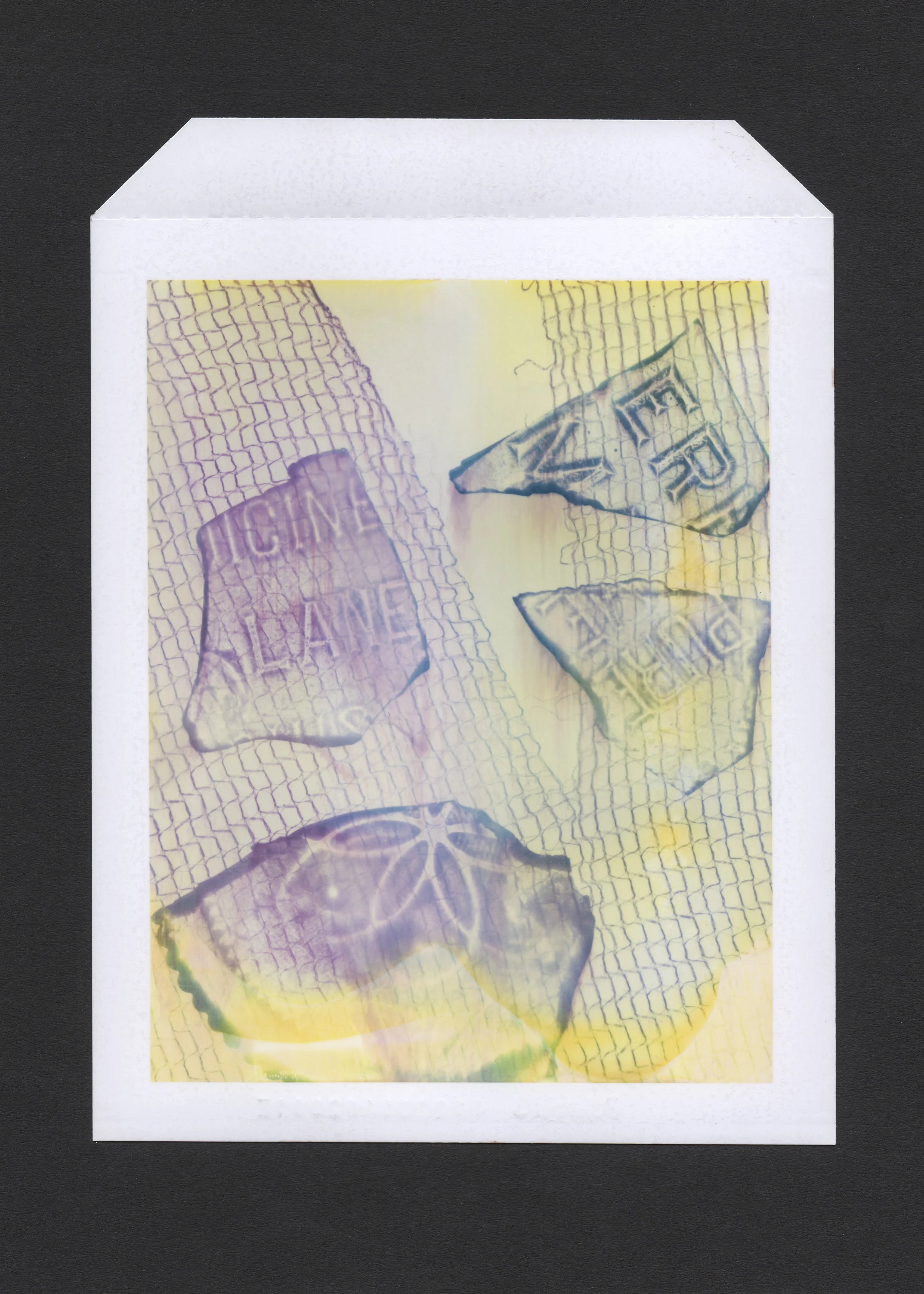 Polaroid 14.jpg