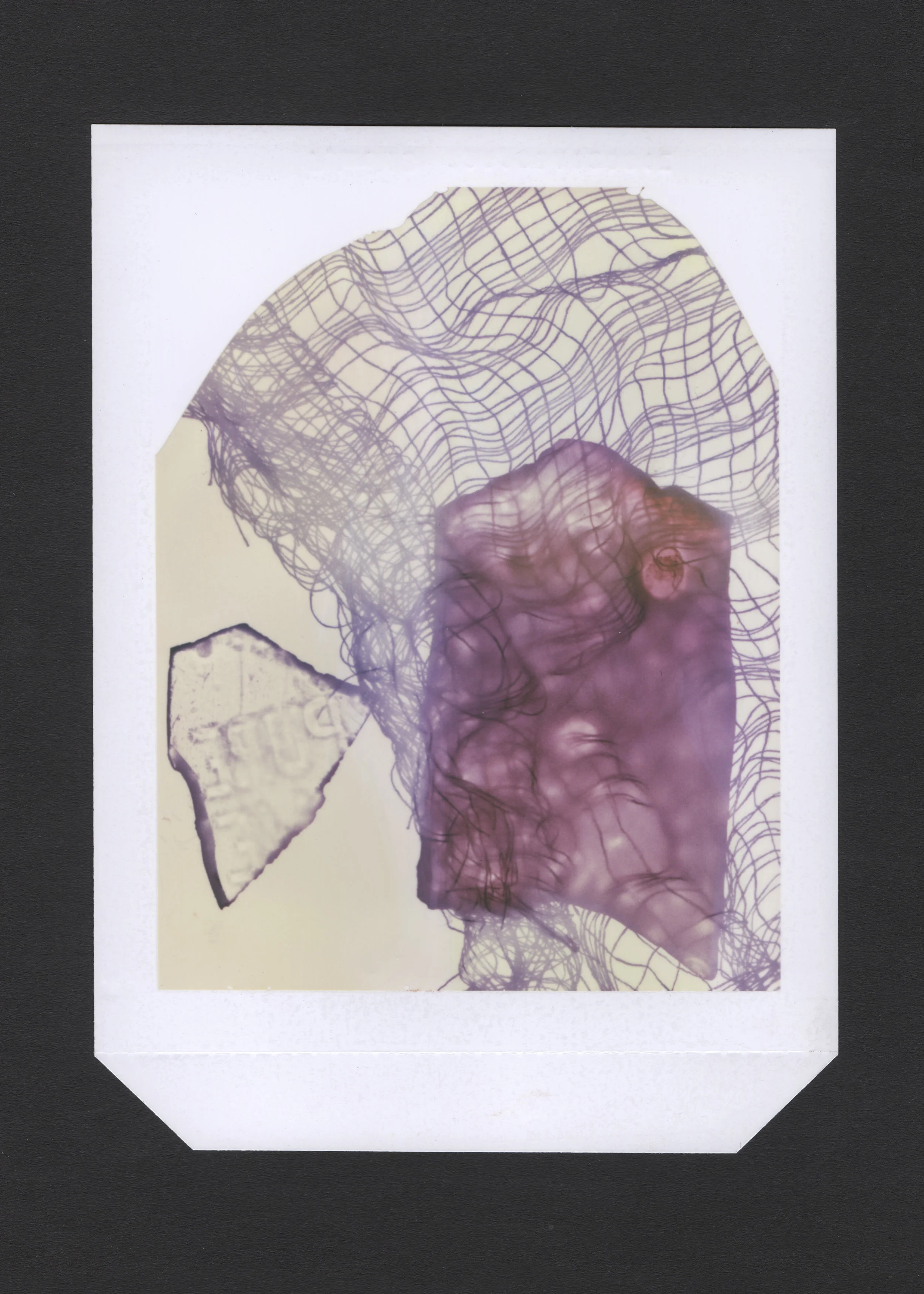 Polaroid 18.jpg