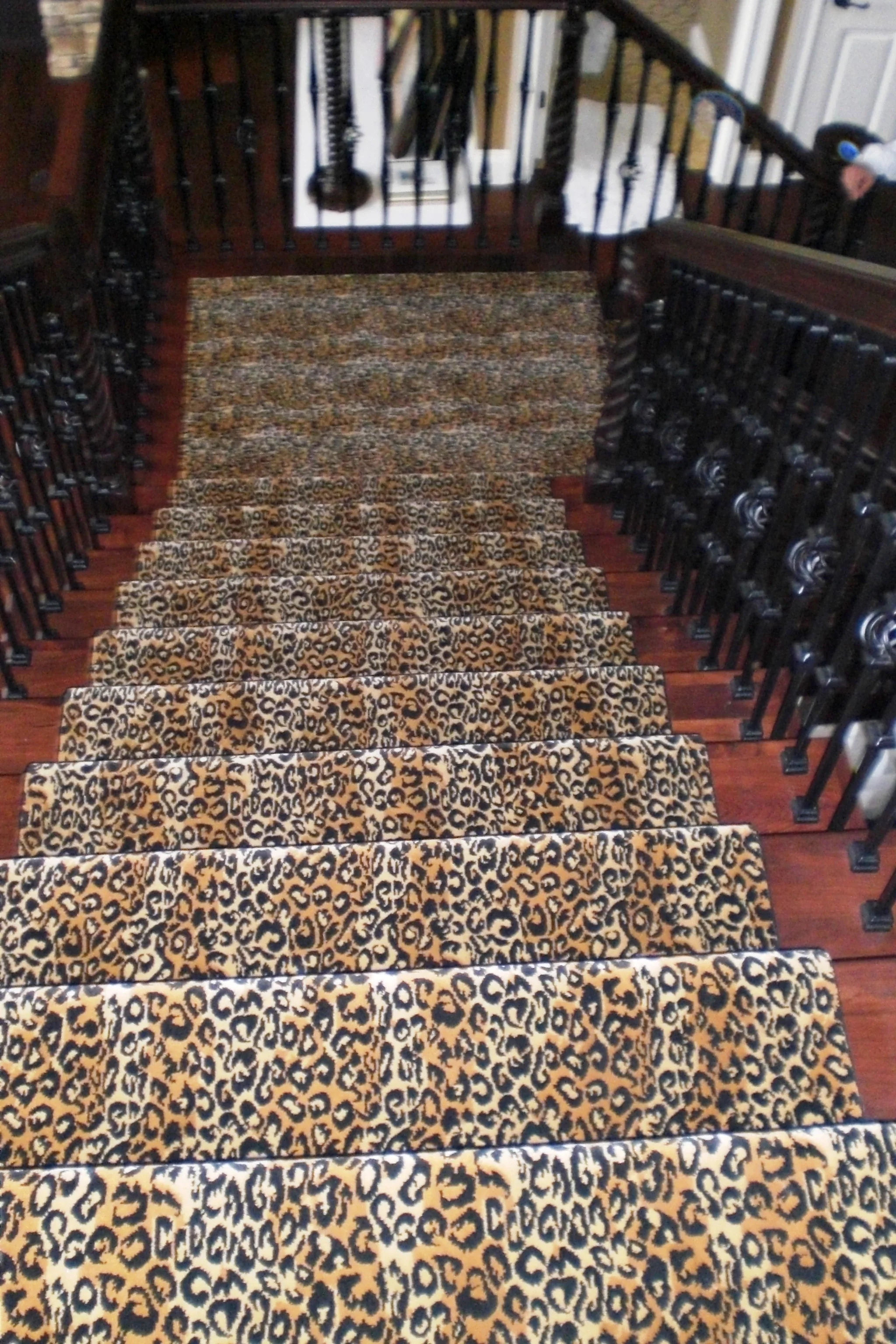 leopardstairs.jpg