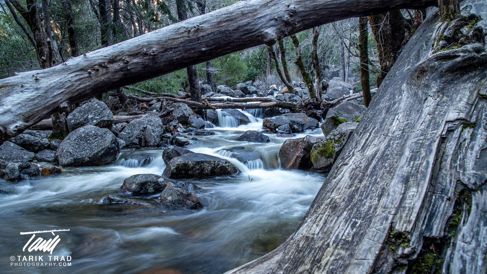 Bridalveil Creek