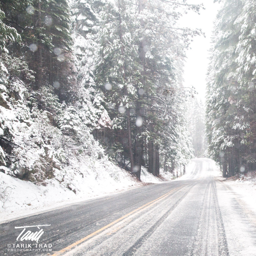 Snowy Mountain Road