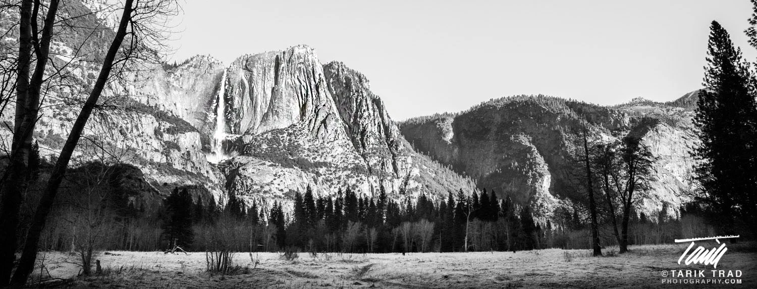 Wide view of Yosemite Falls taken from Sentinel and Cook's Meadow near Swinging Bridge.