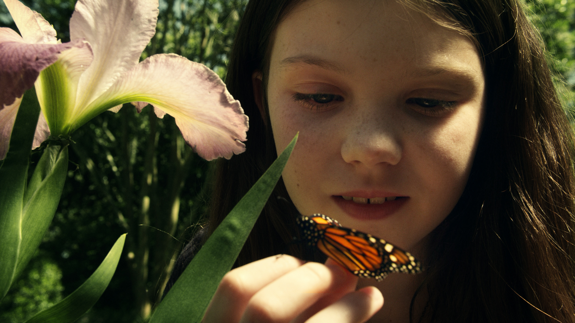 01JuneButterfly.jpg