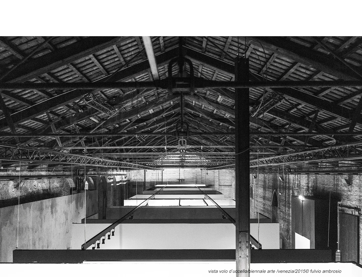 vista volo d’uccello:biennale arte :venezia:2015© fulvio ambrosio.jpg