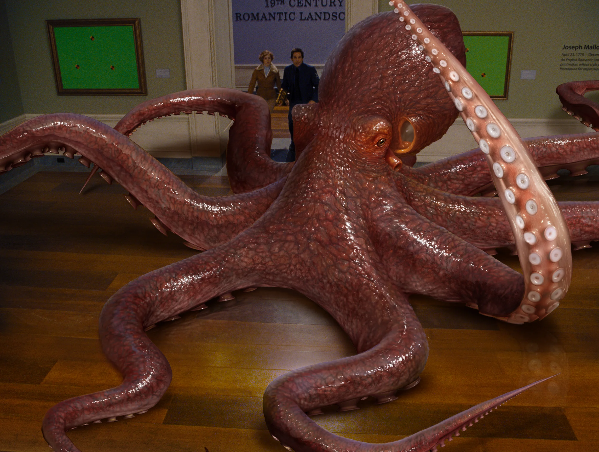 octopus.jpg