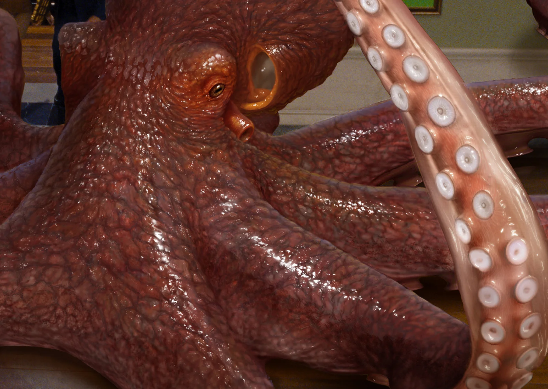 octopusclosesm.jpg