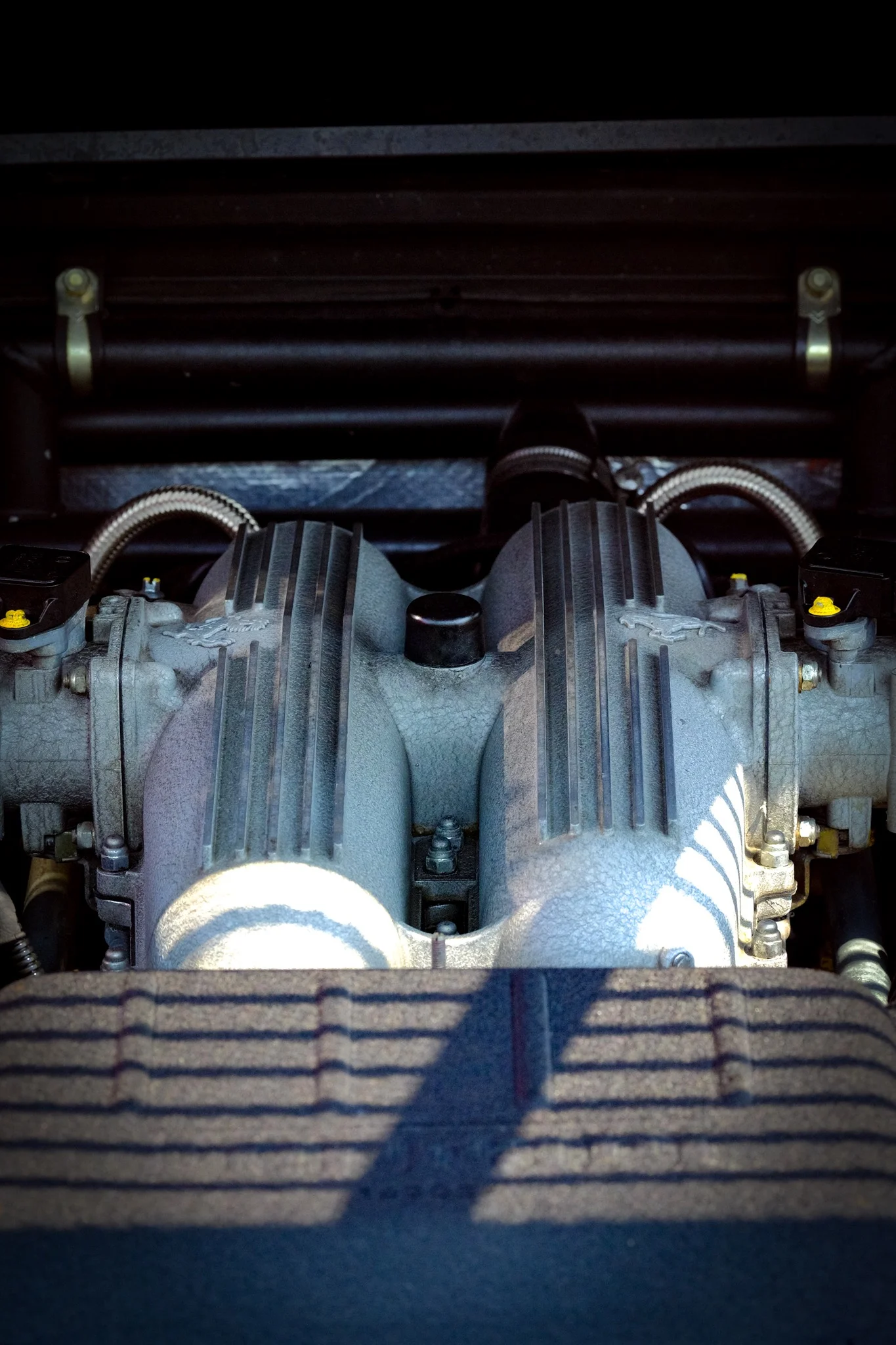 DSCF8520.jpg