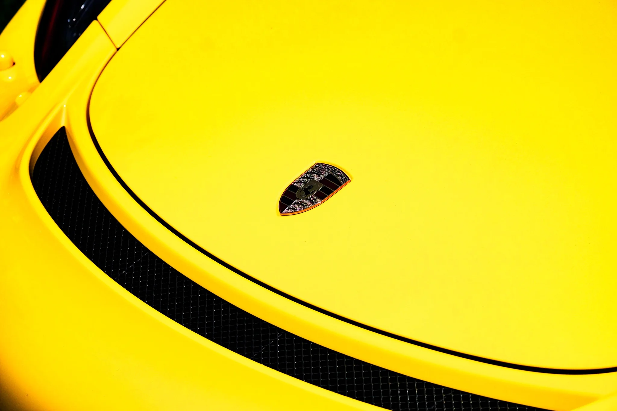 DSCF8540.jpg