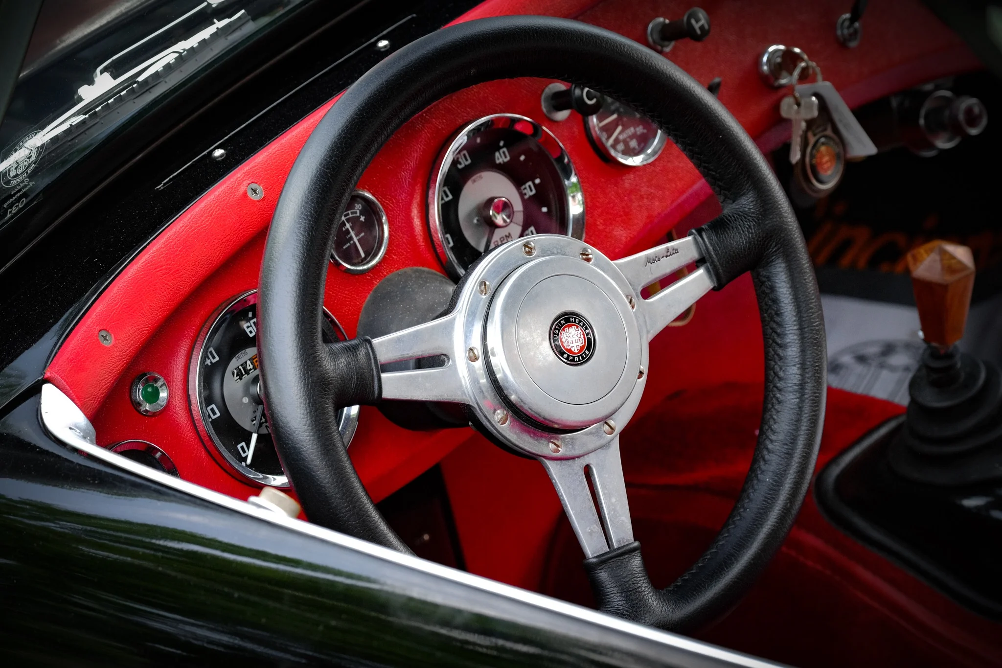 DSCF8581.jpg