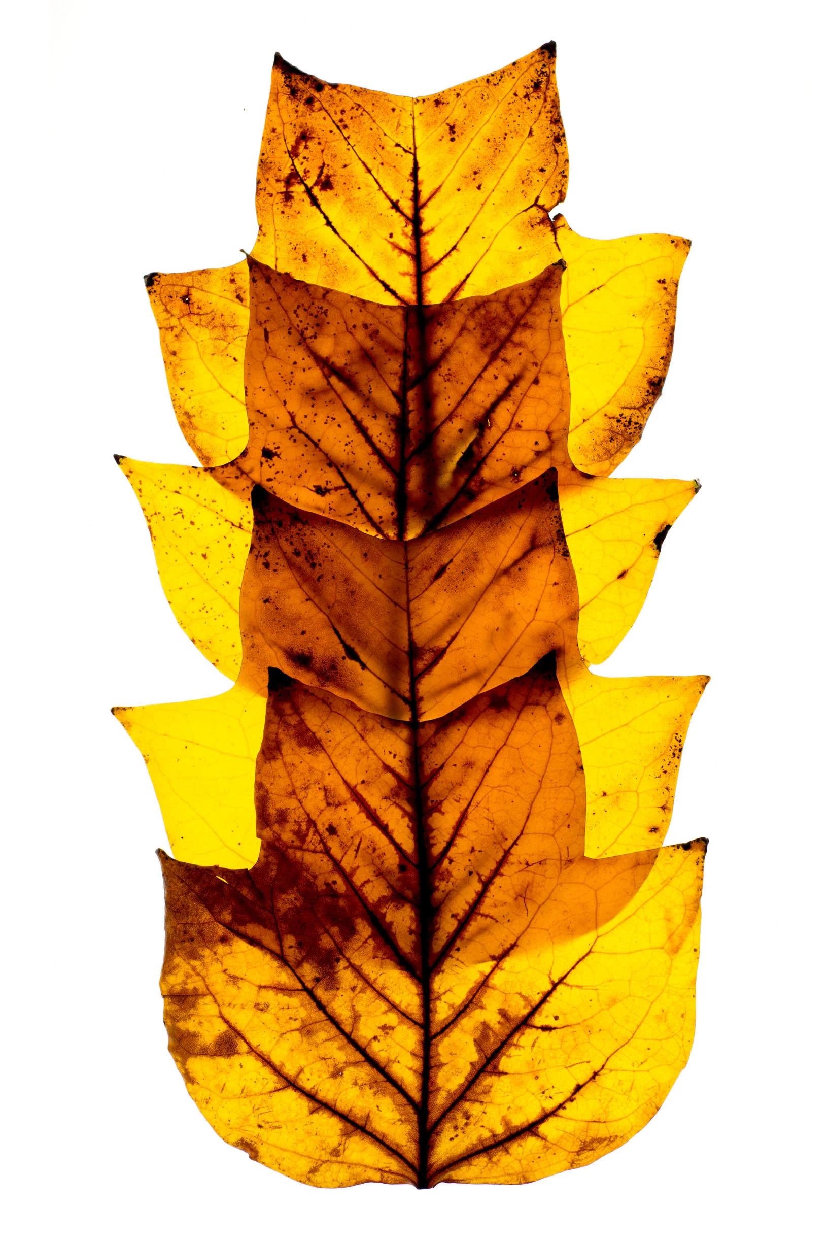 _DSC1744-Edit.jpg