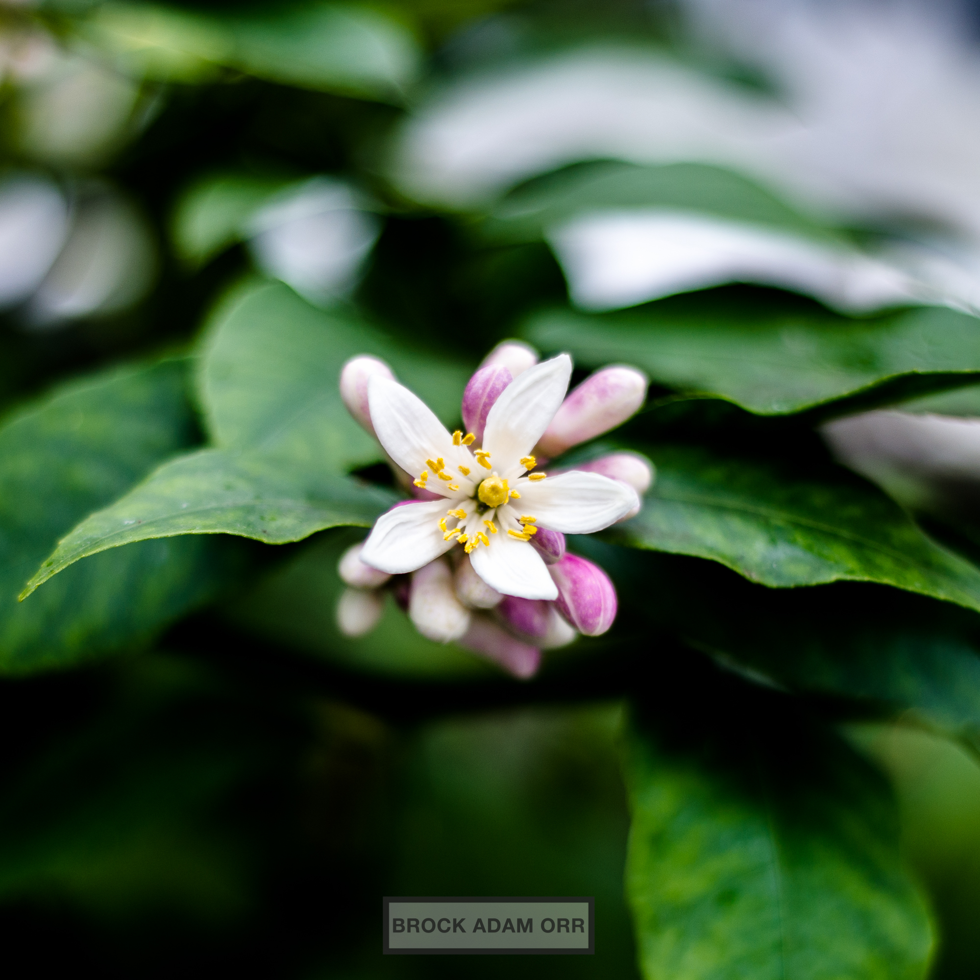 INSTAGRAM-73.jpg