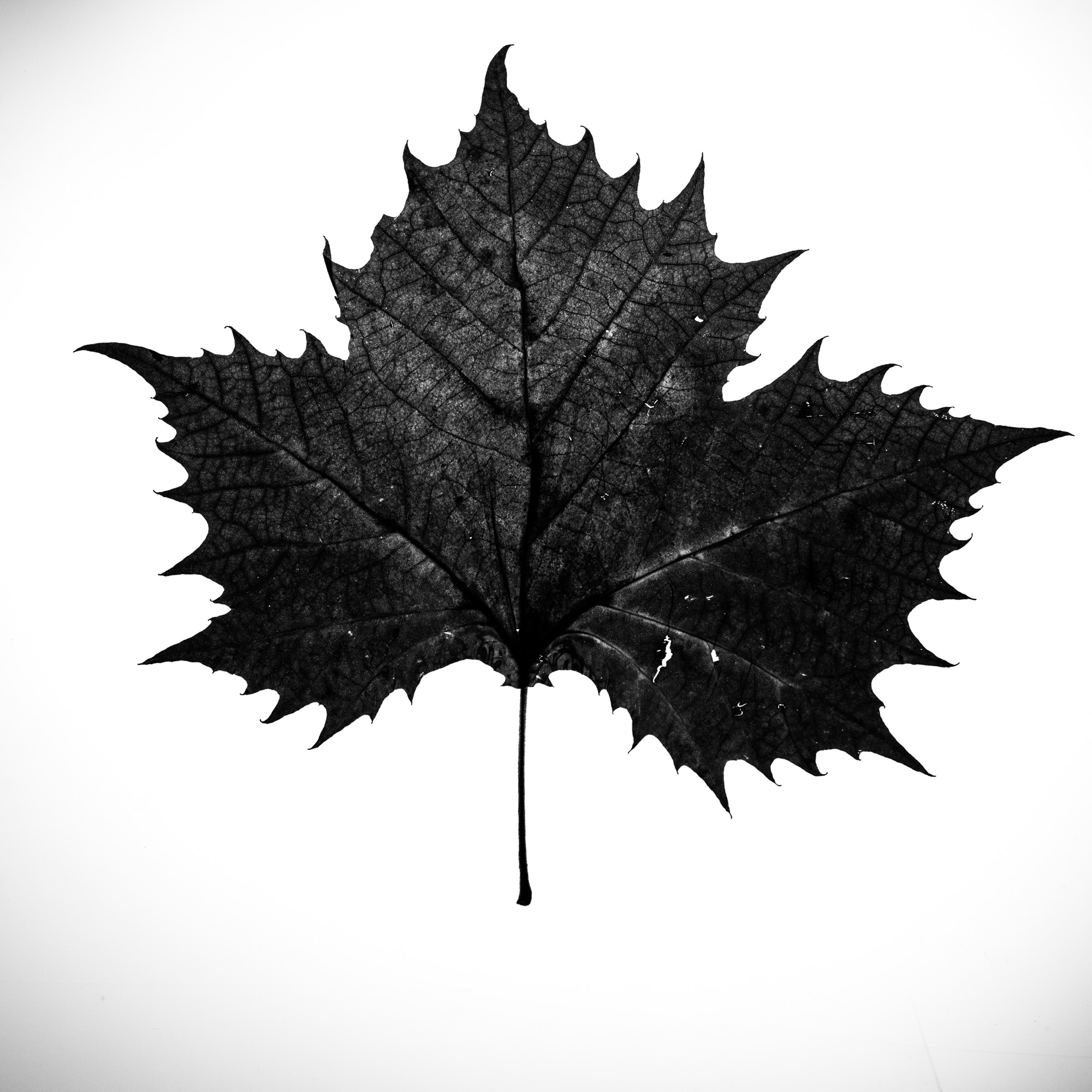 _DSC1228-Edit.jpg
