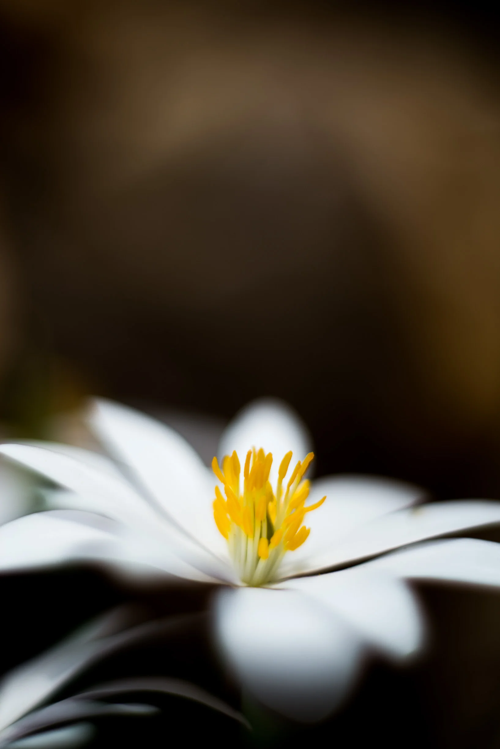 _DSC8561.jpg
