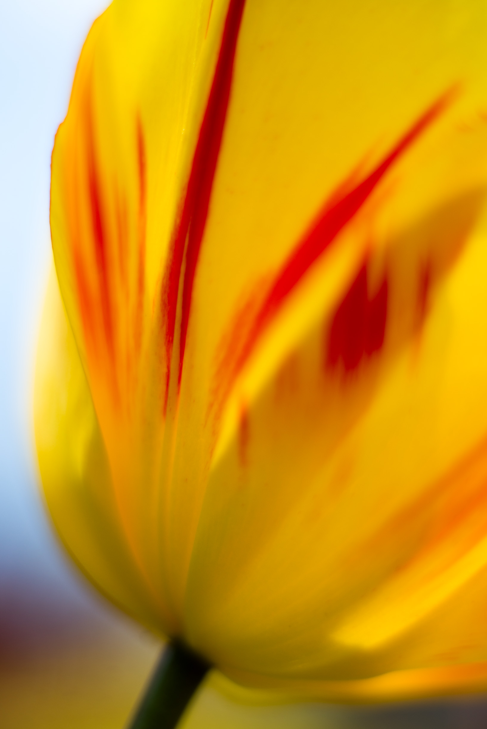 _DSC8961.jpg