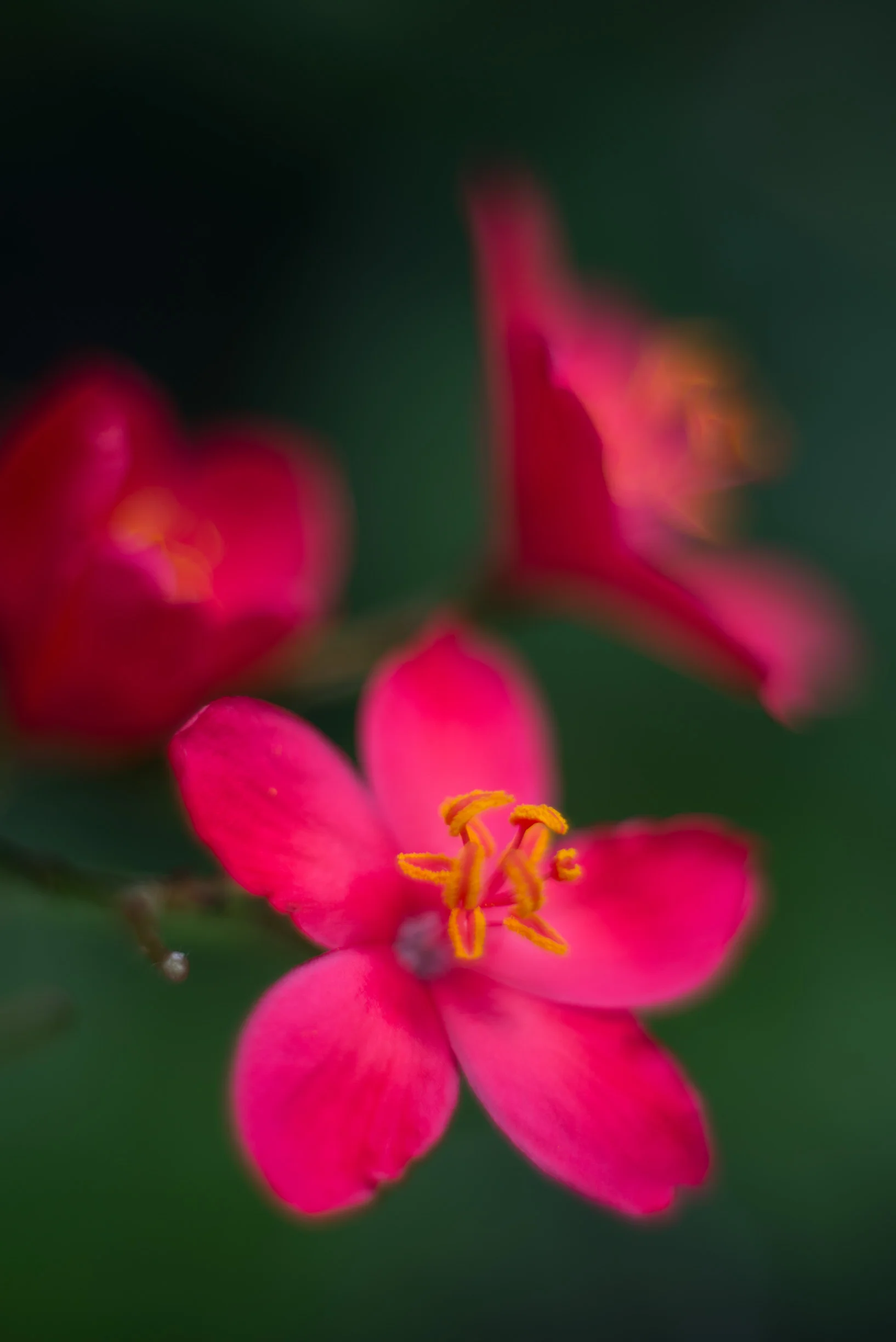 20130402-_DSC8329.jpg