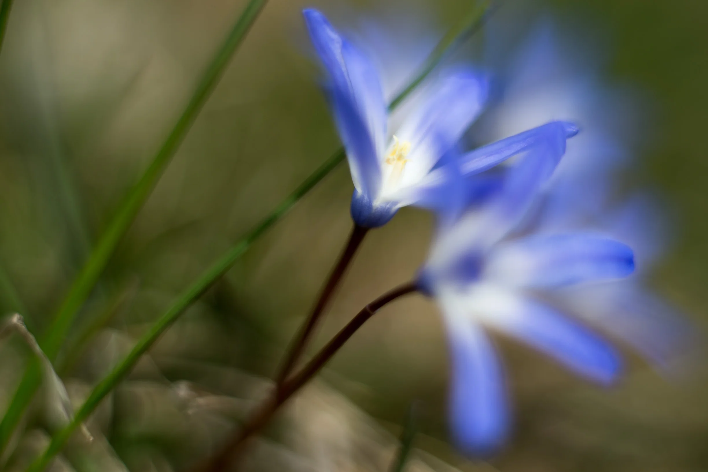 20130406-_DSC8515.jpg