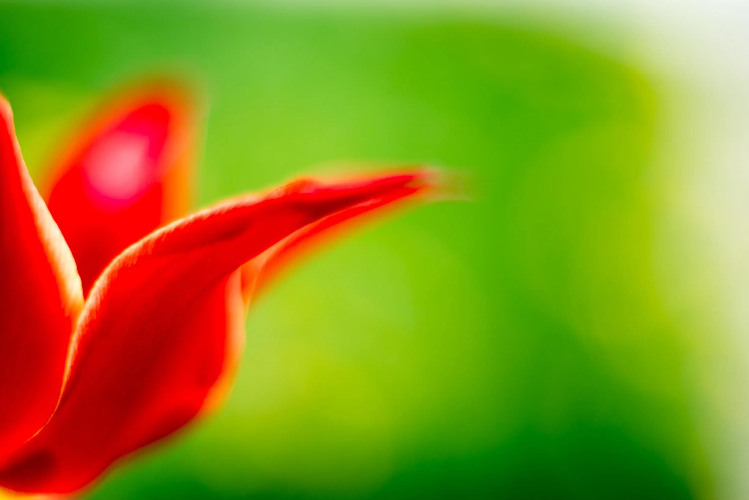 20130429-_DSC9001.jpg