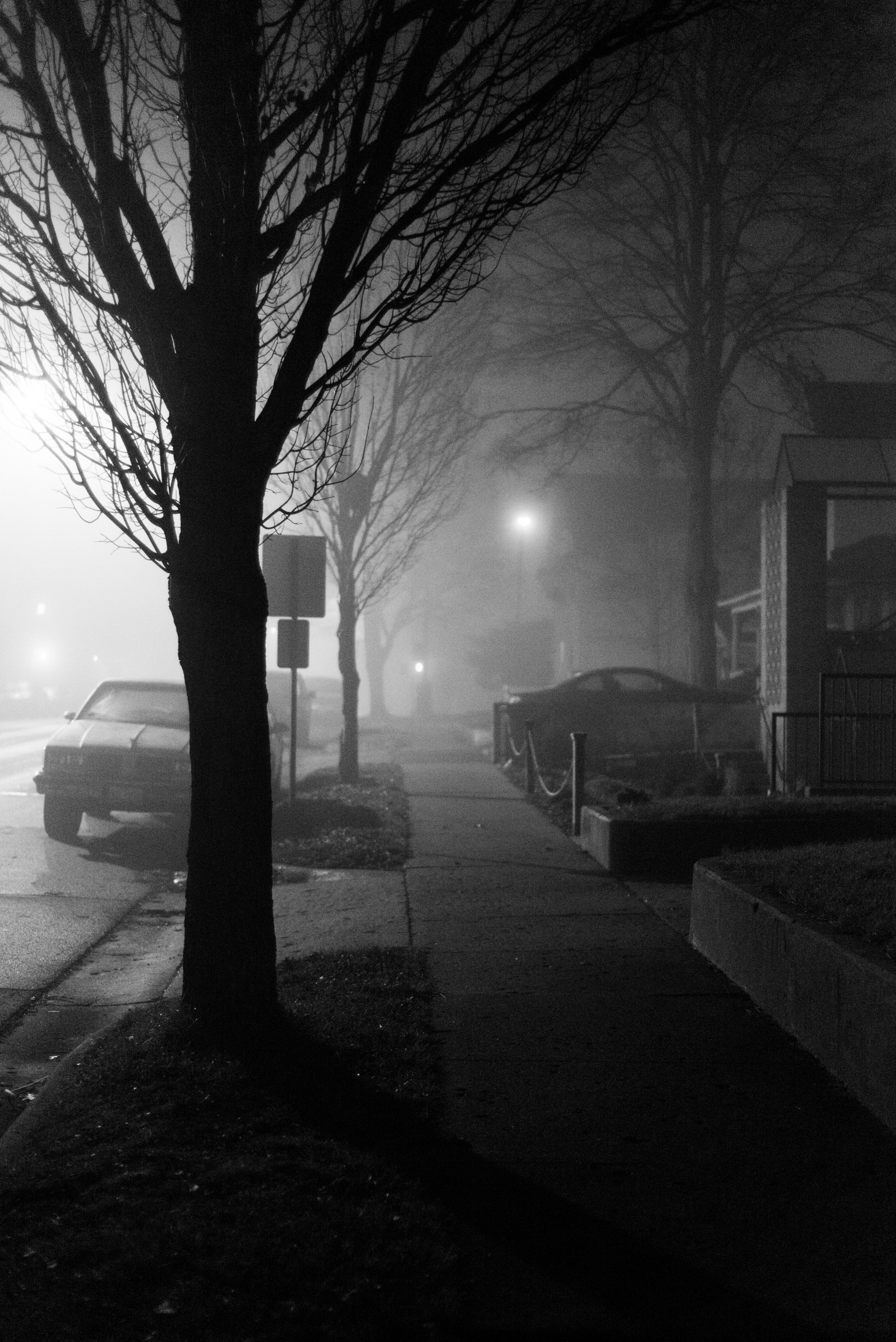 FOG_DSC2547.jpg