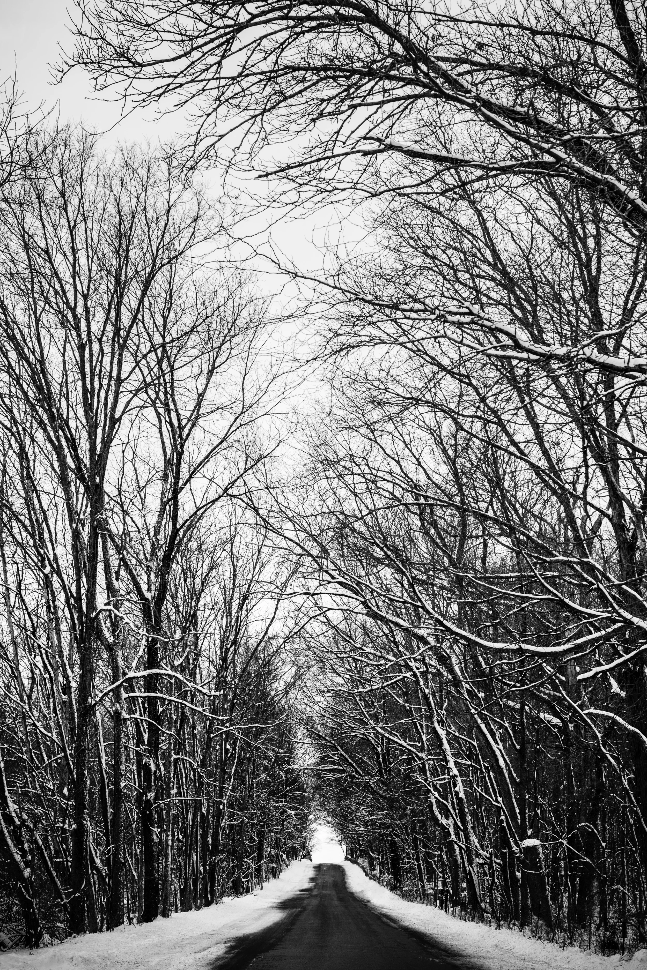 The Grove_DSC8873-Edit.jpg