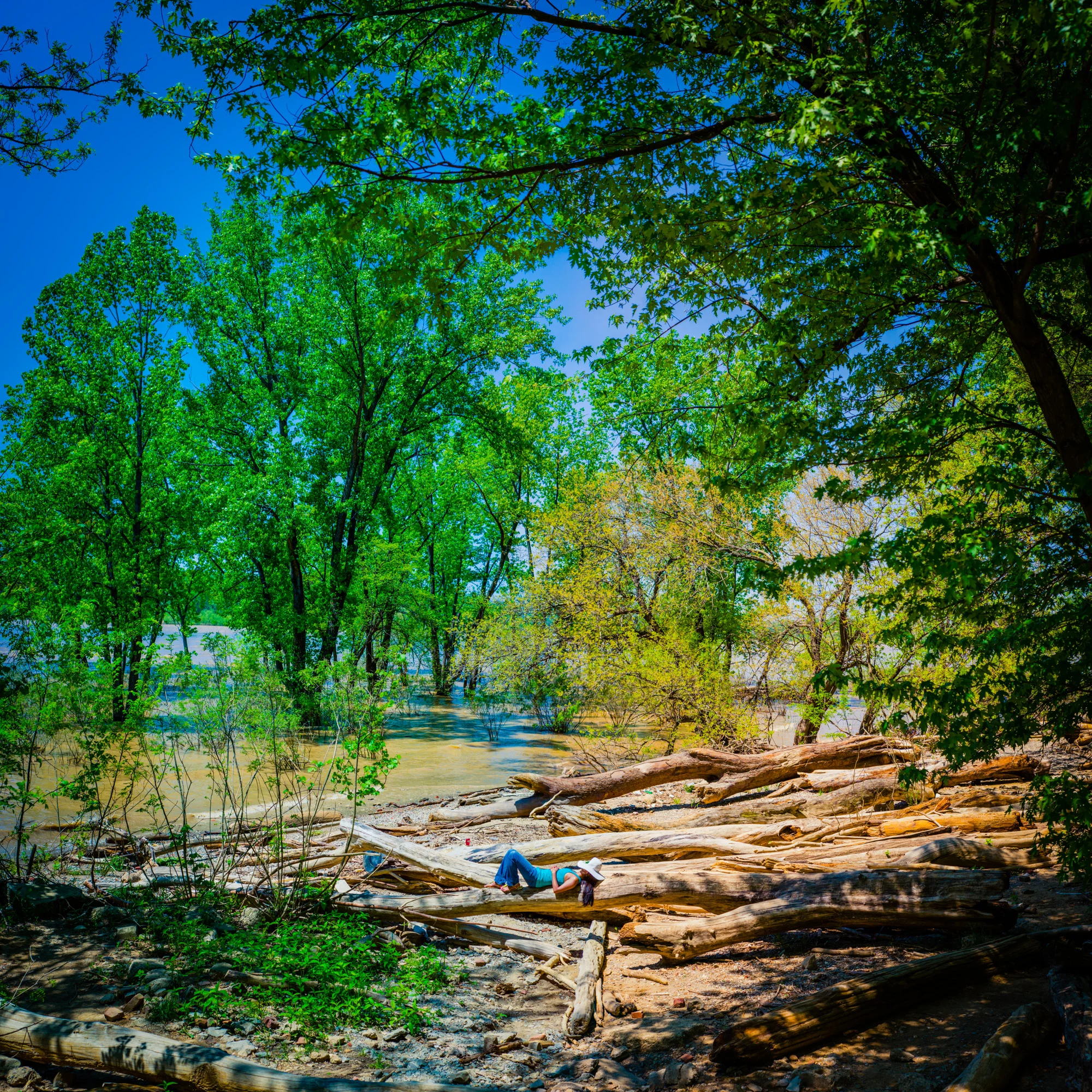 _DSC1222-Edit-2.jpg