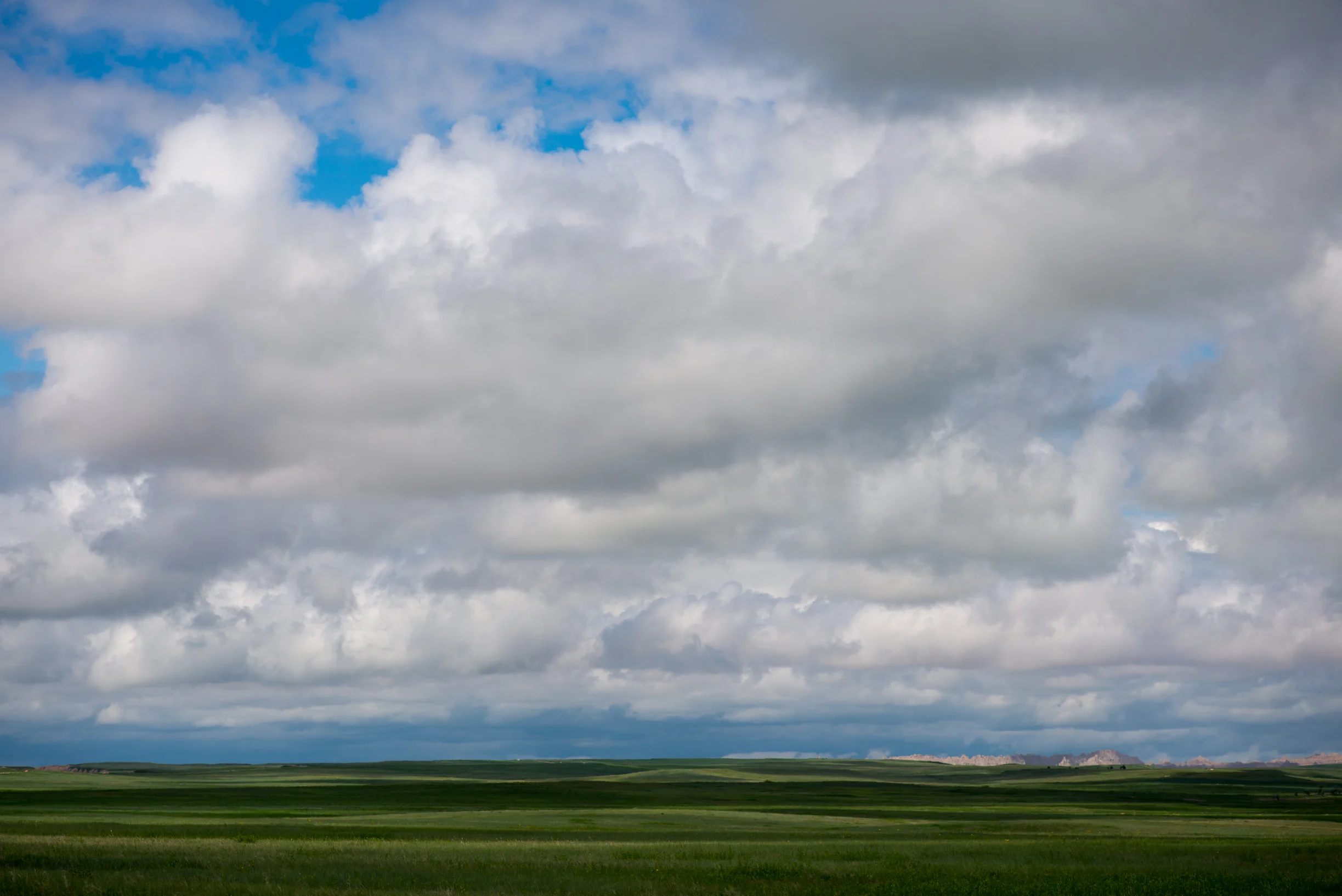 _DSC4704.jpg
