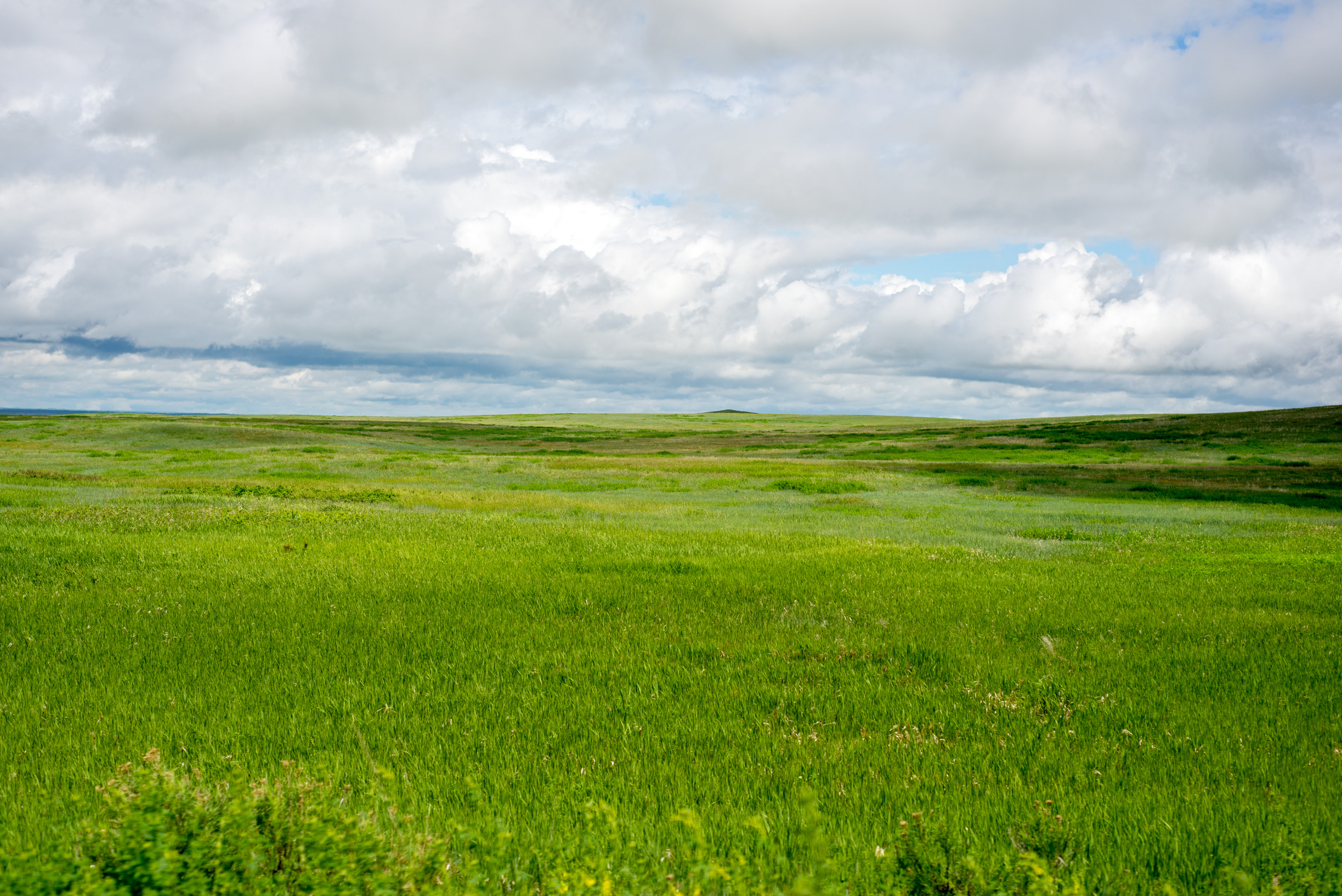 _DSC4690.jpg