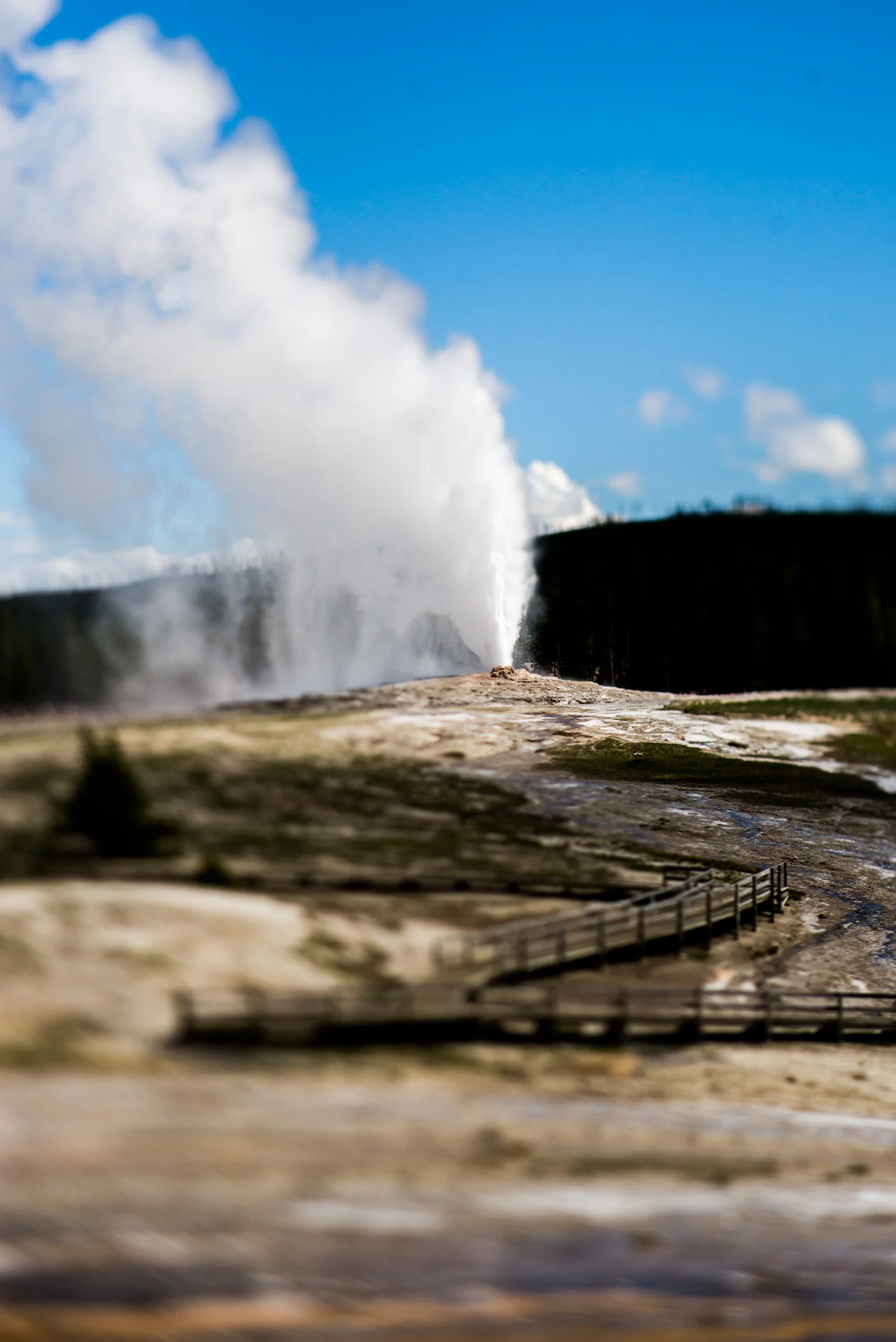 _DSC5964.jpg