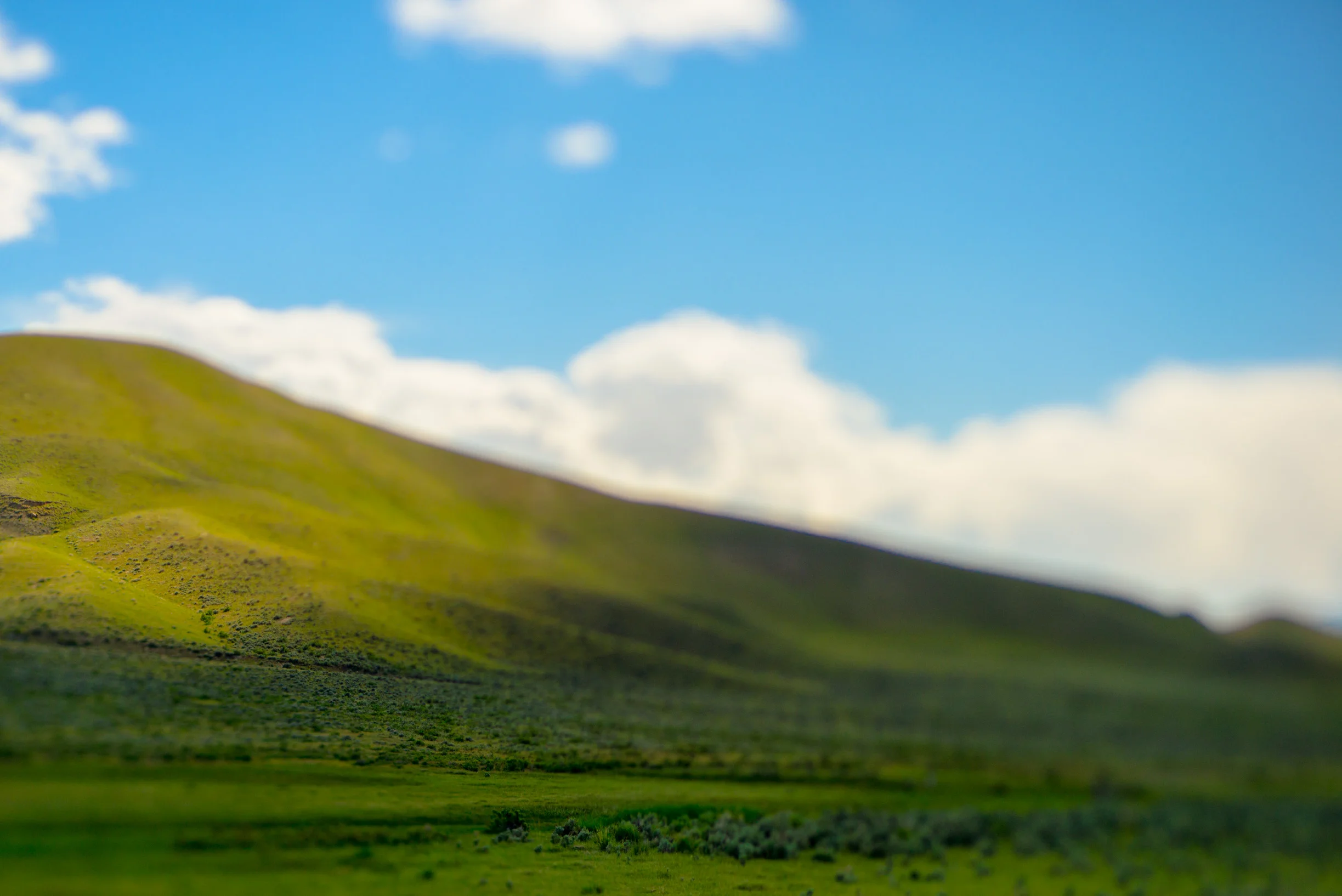 _DSC7021.jpg