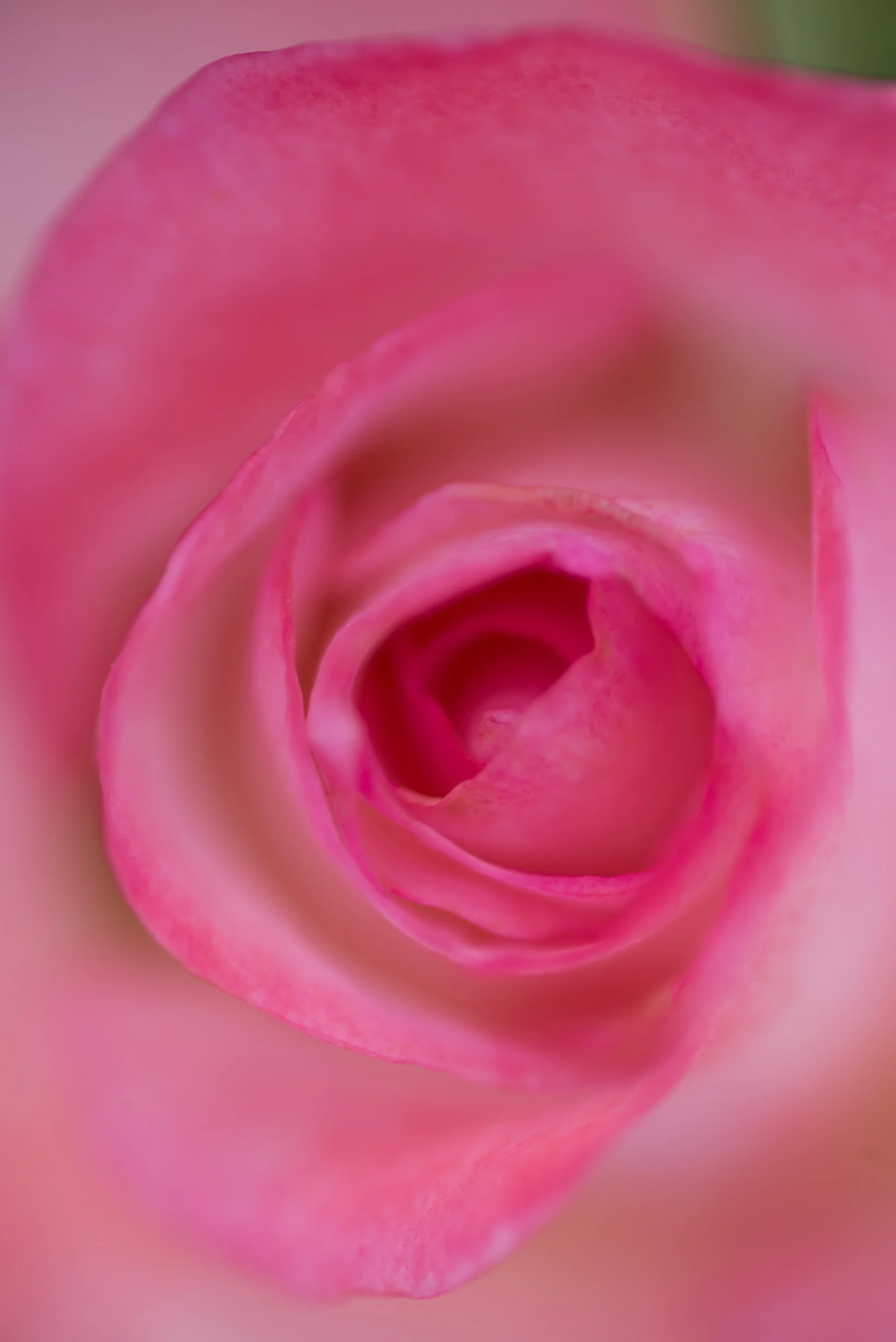 _DSC7242.jpg