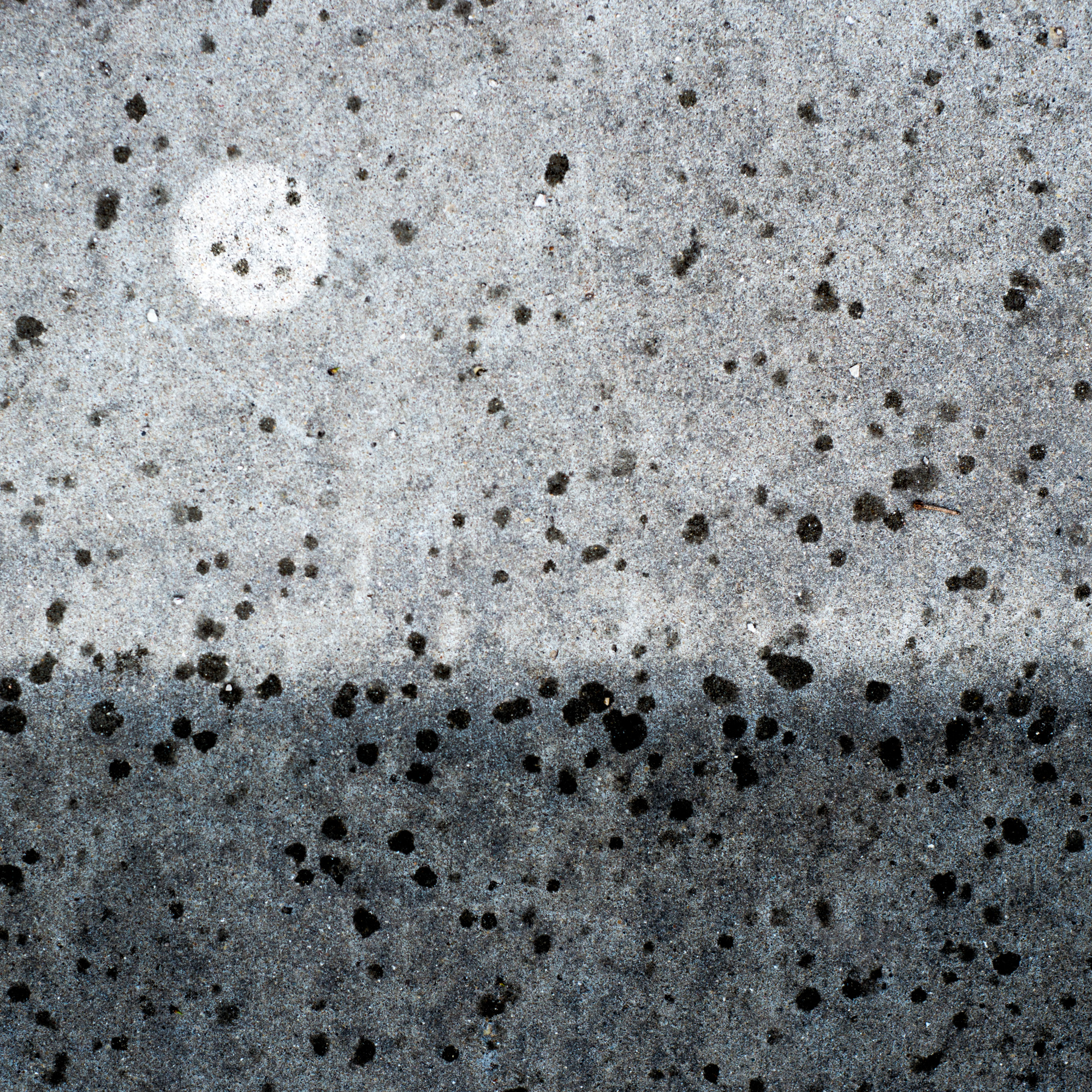 _DSC8858.jpg