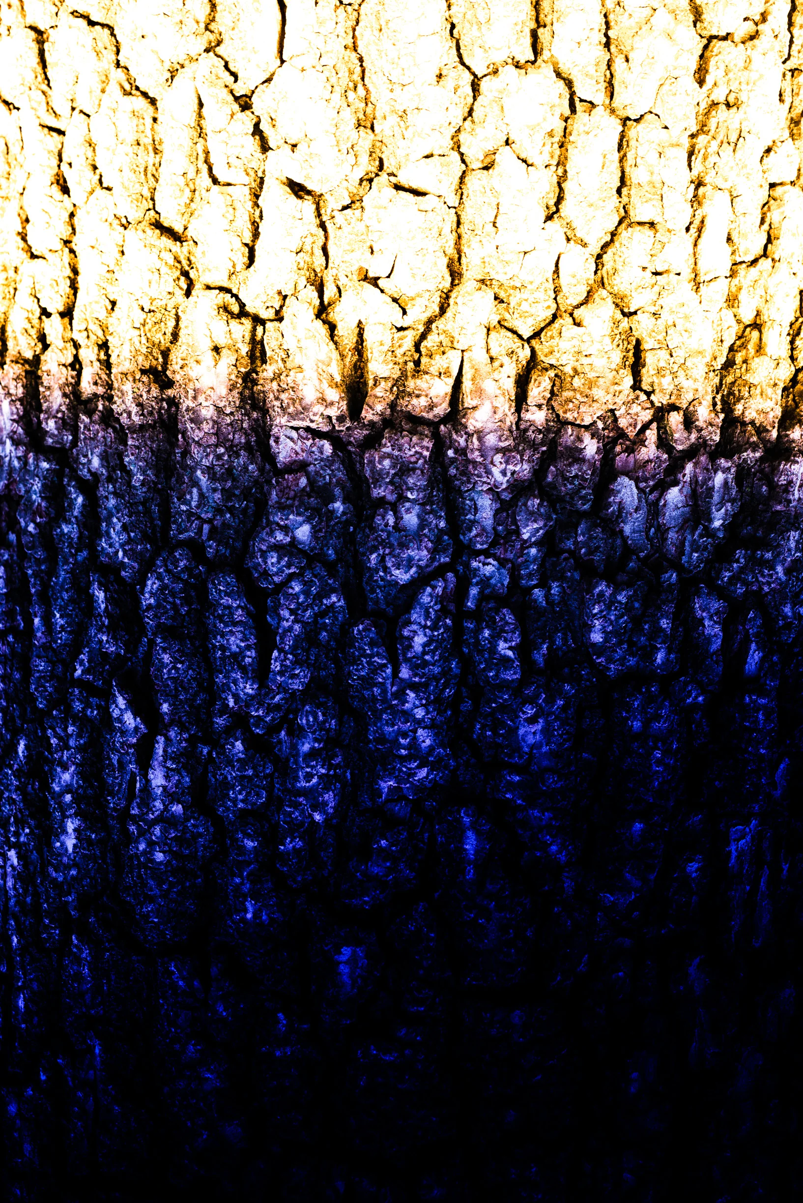 _DSC8863.jpg