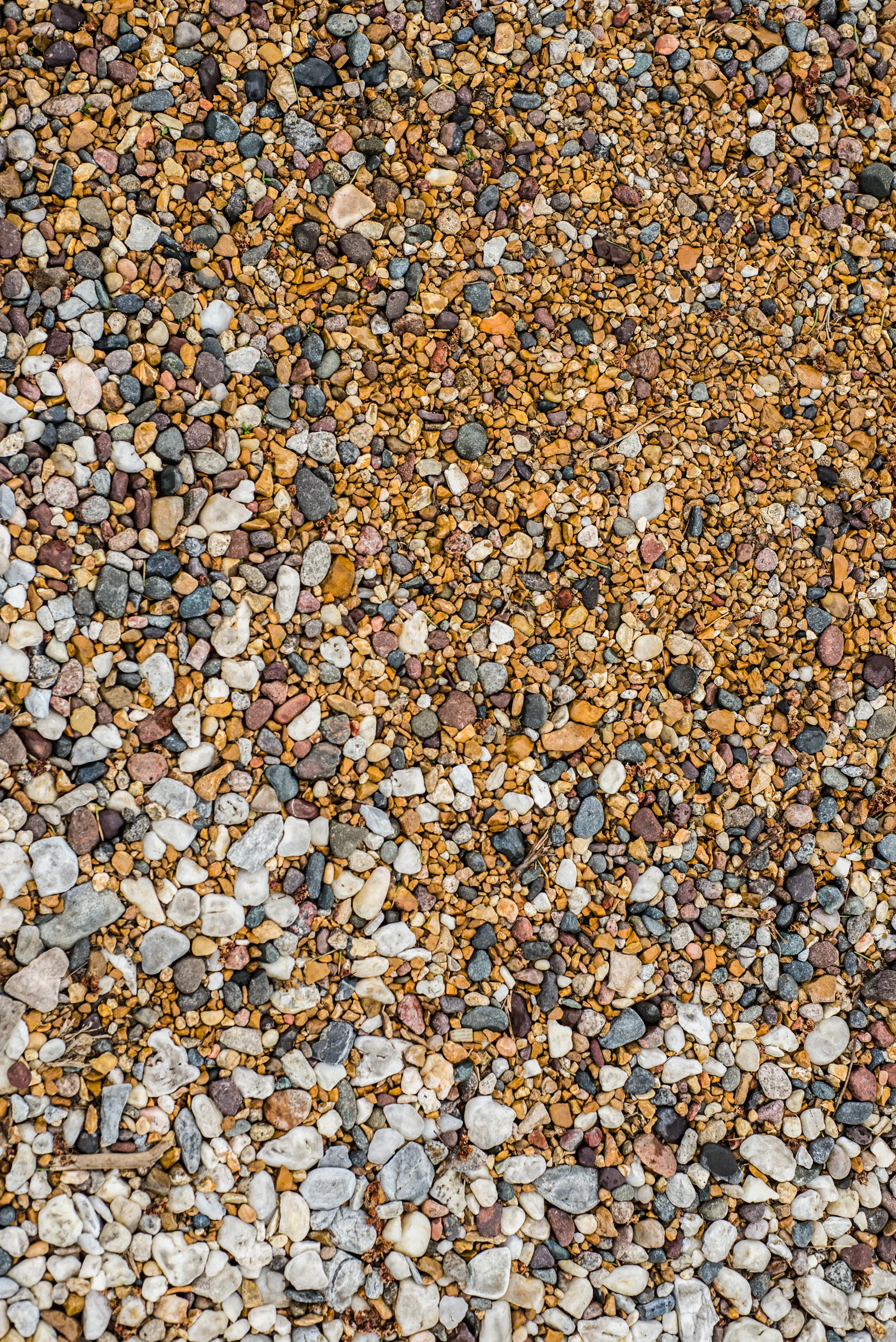 _DSC8871.jpg