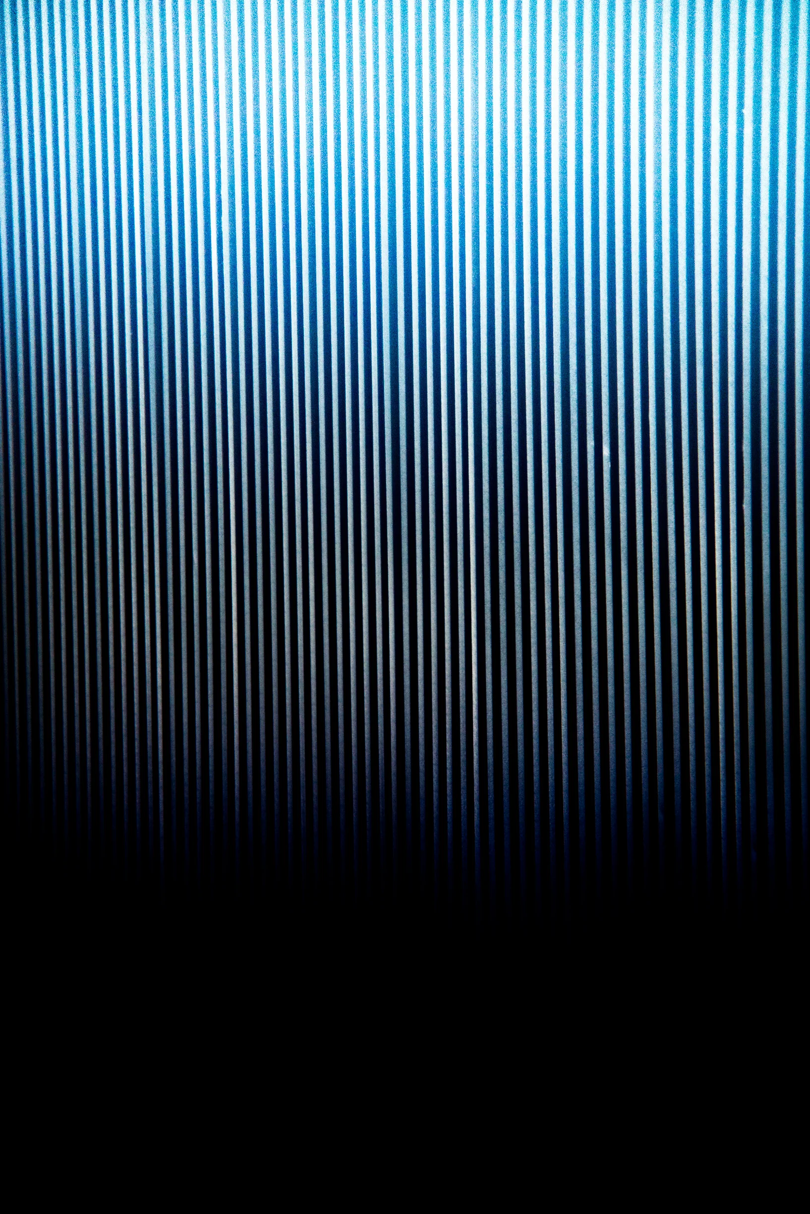 _DSC8962.jpg