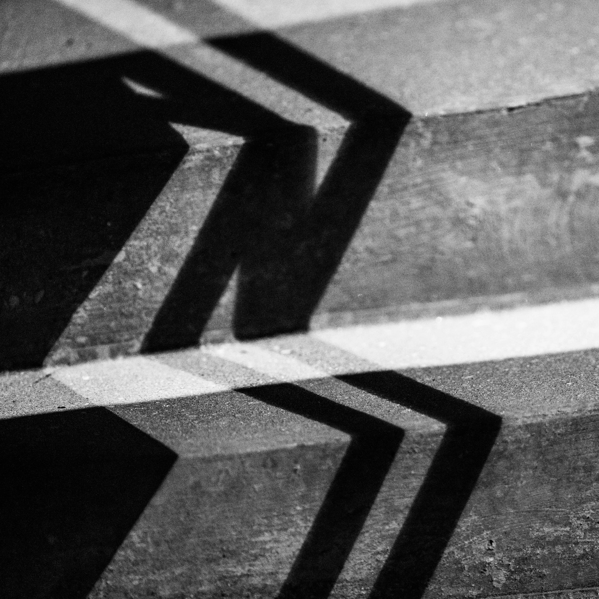 _DSC9020.jpg