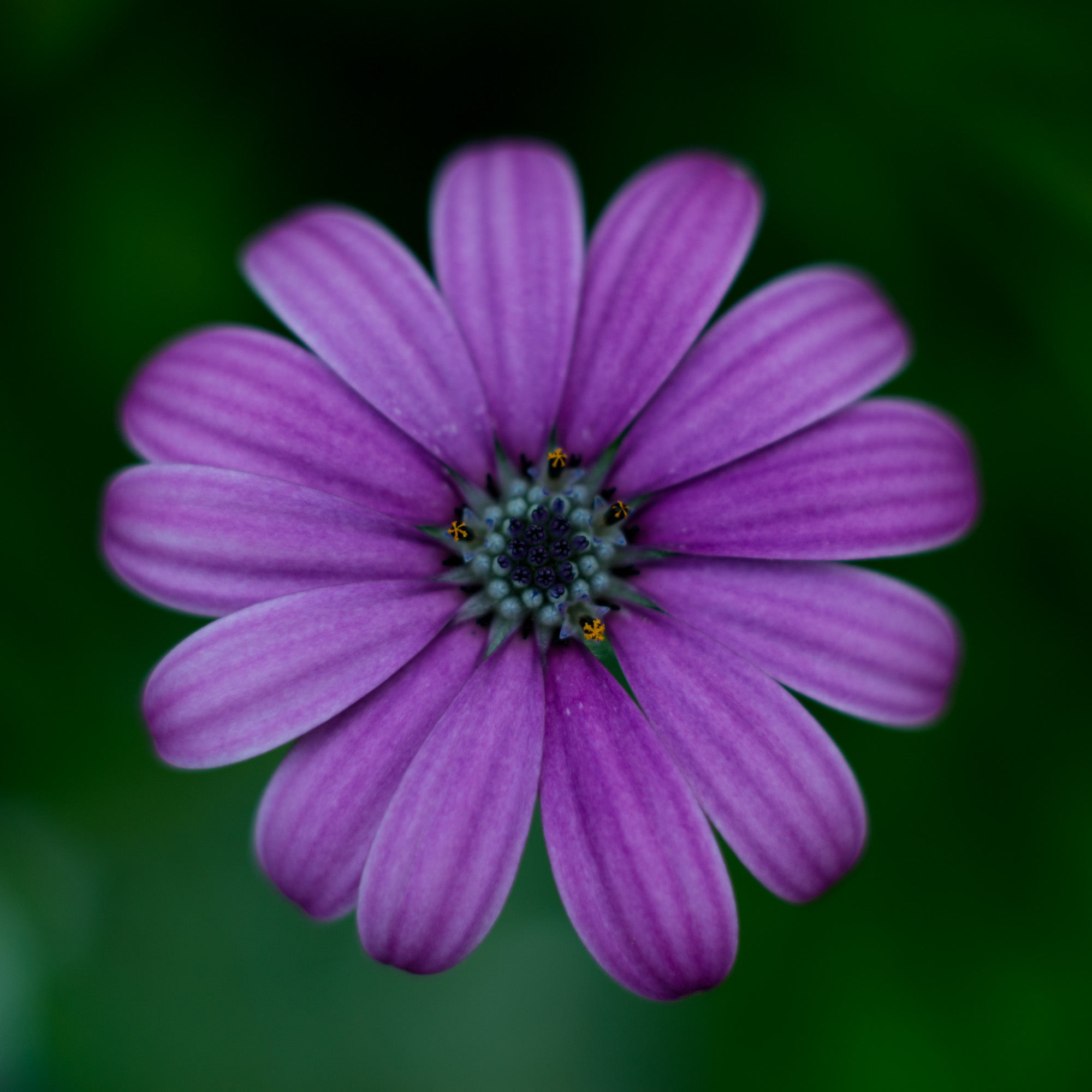 _DSC9702.jpg