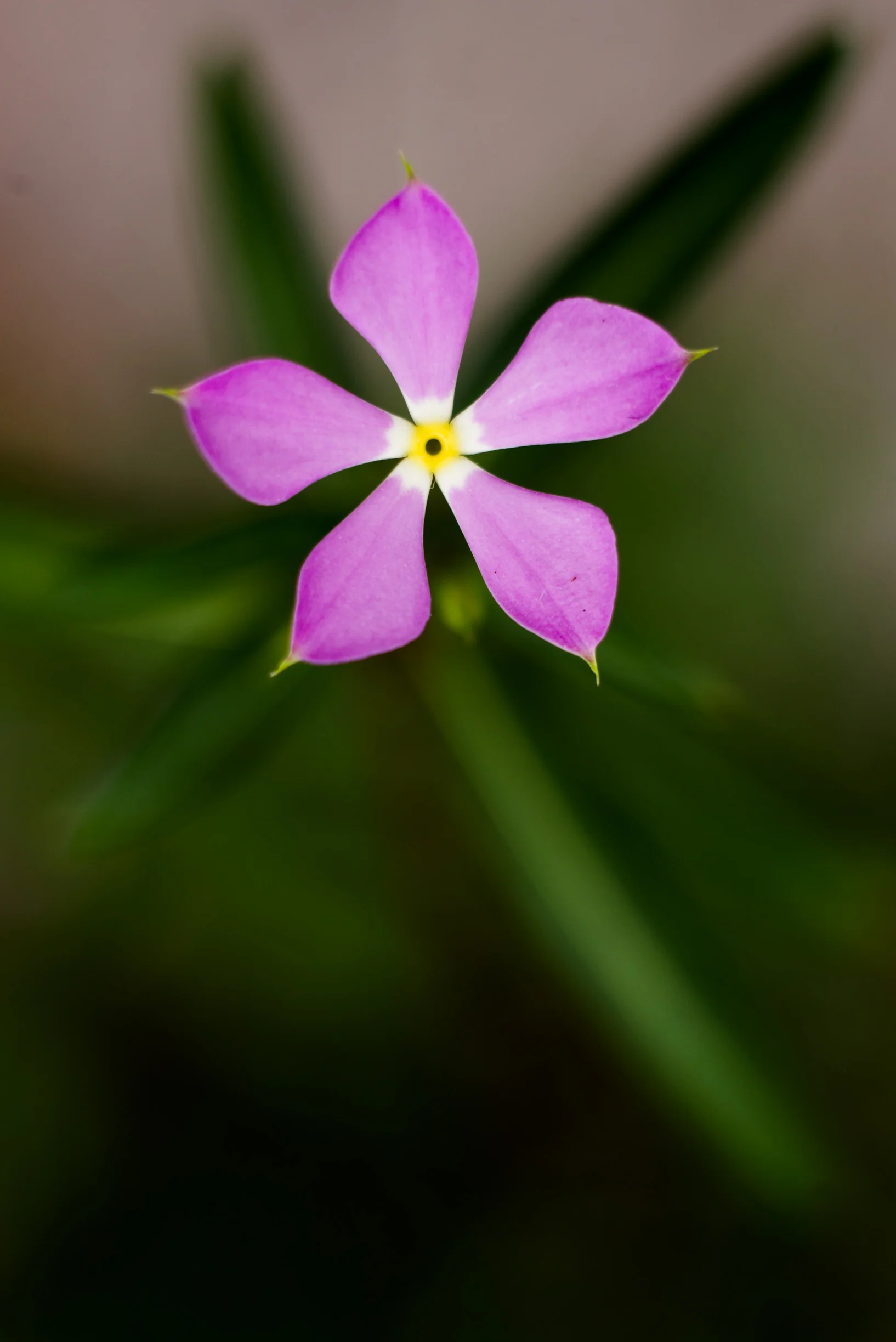 _DSC9728.jpg