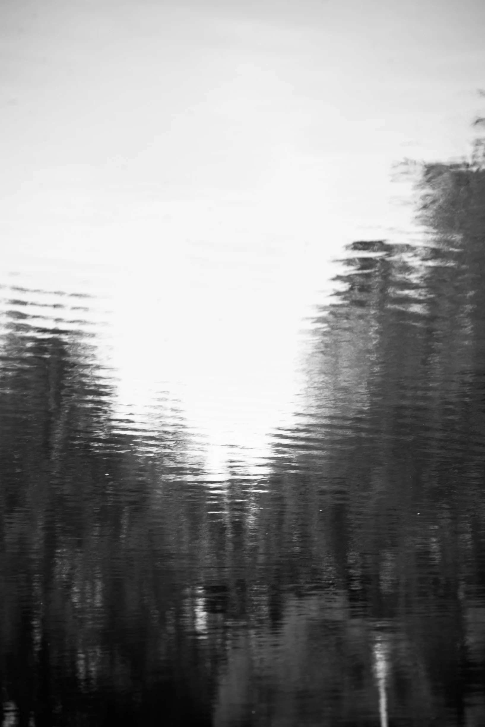 _DSC0329.jpg