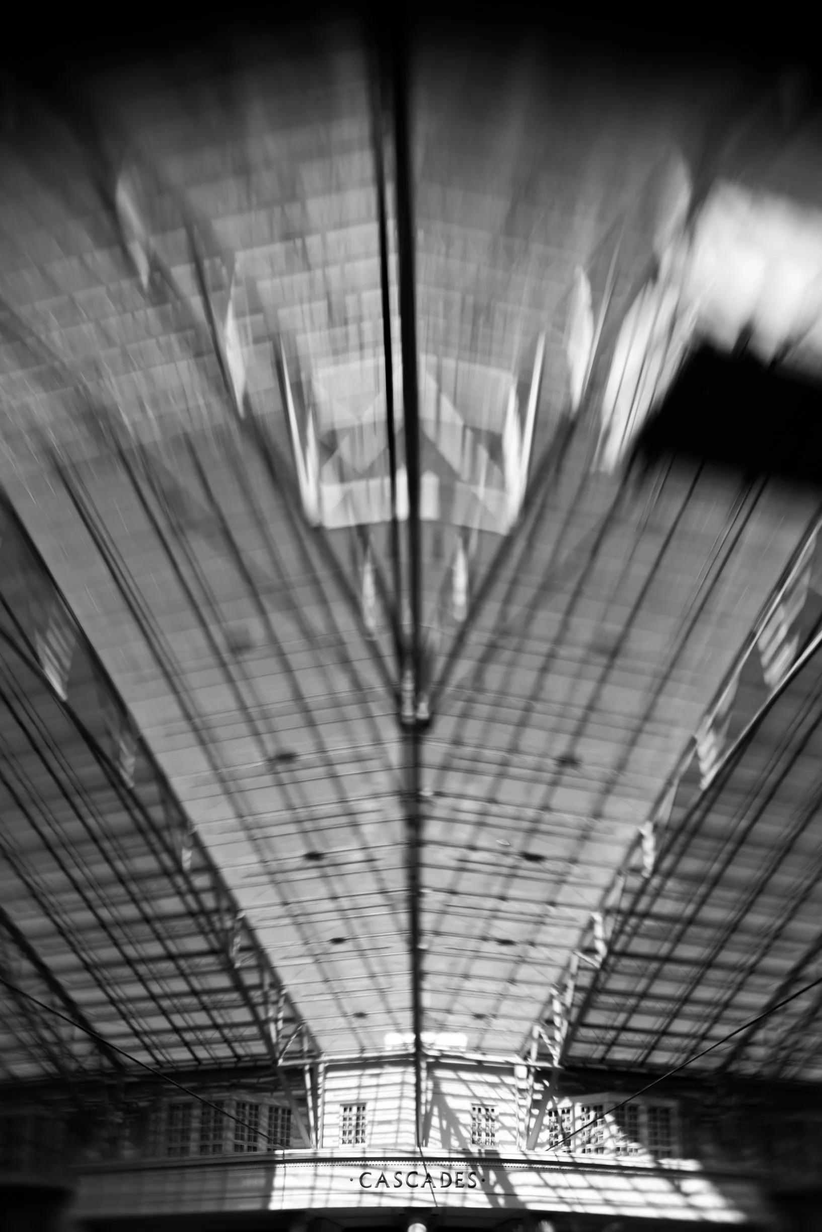_DSC0886.jpg