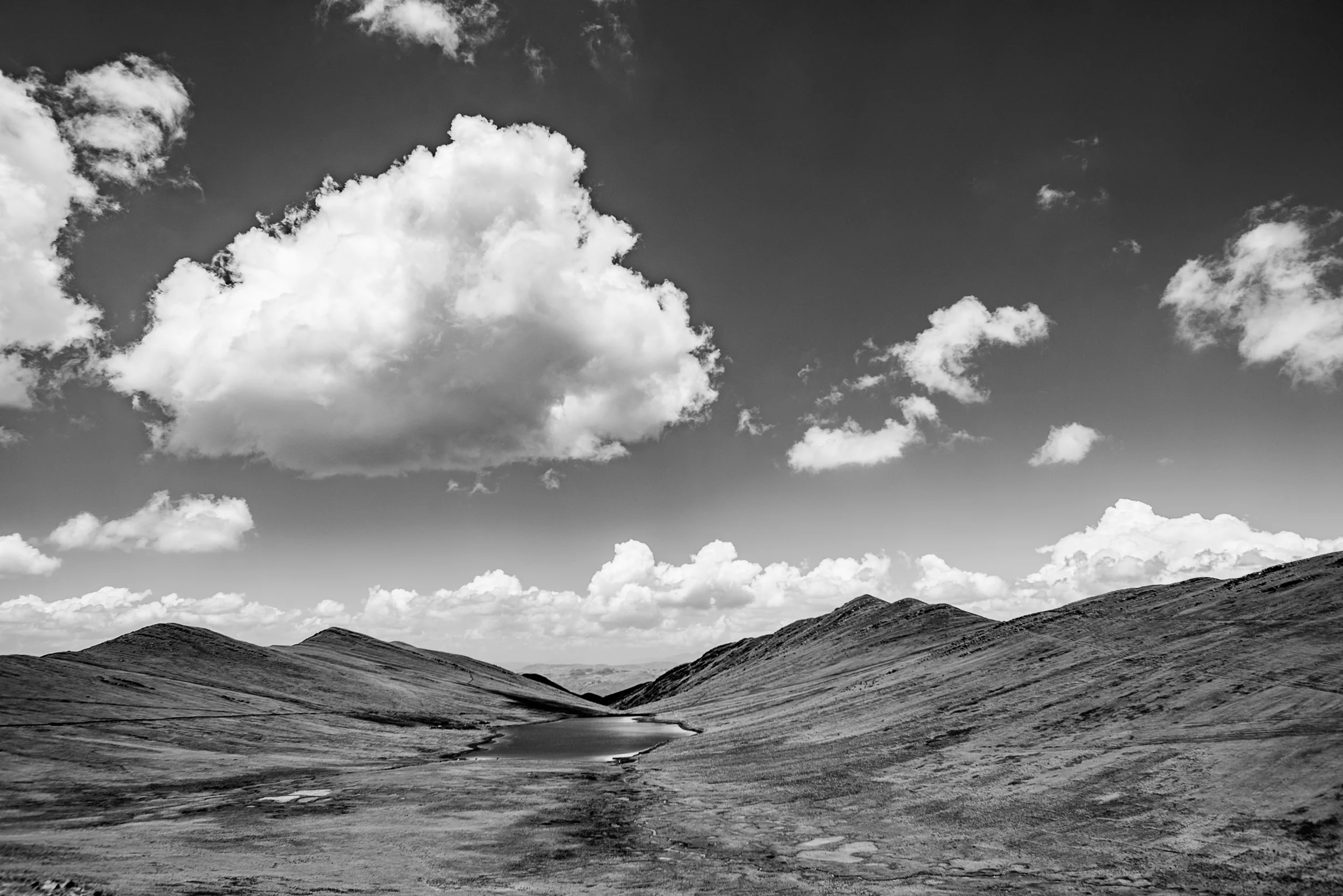 DSC_6201.jpg
