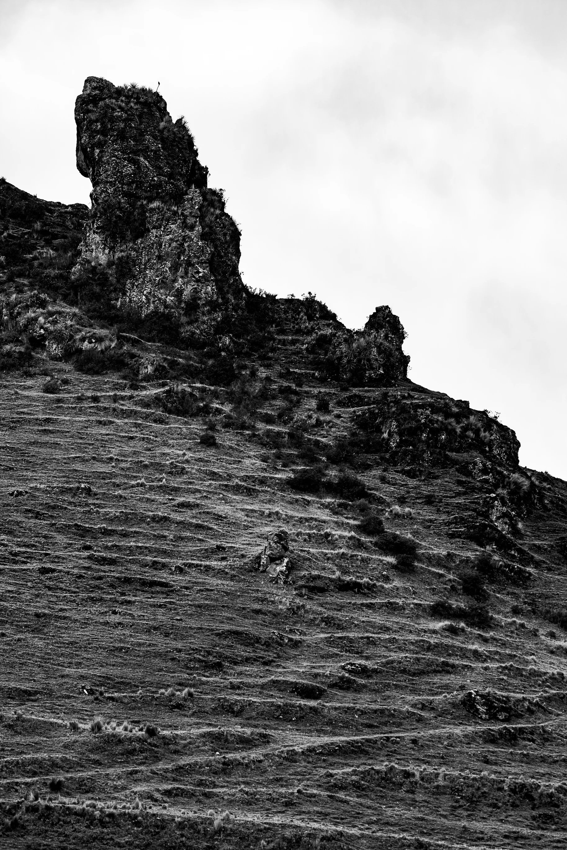 DSC_6274.jpg
