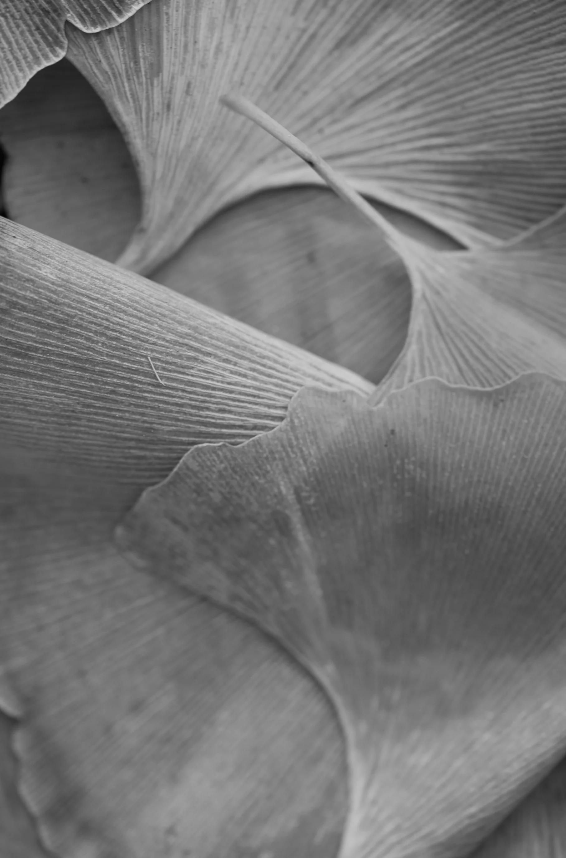 DSC_0766.jpg